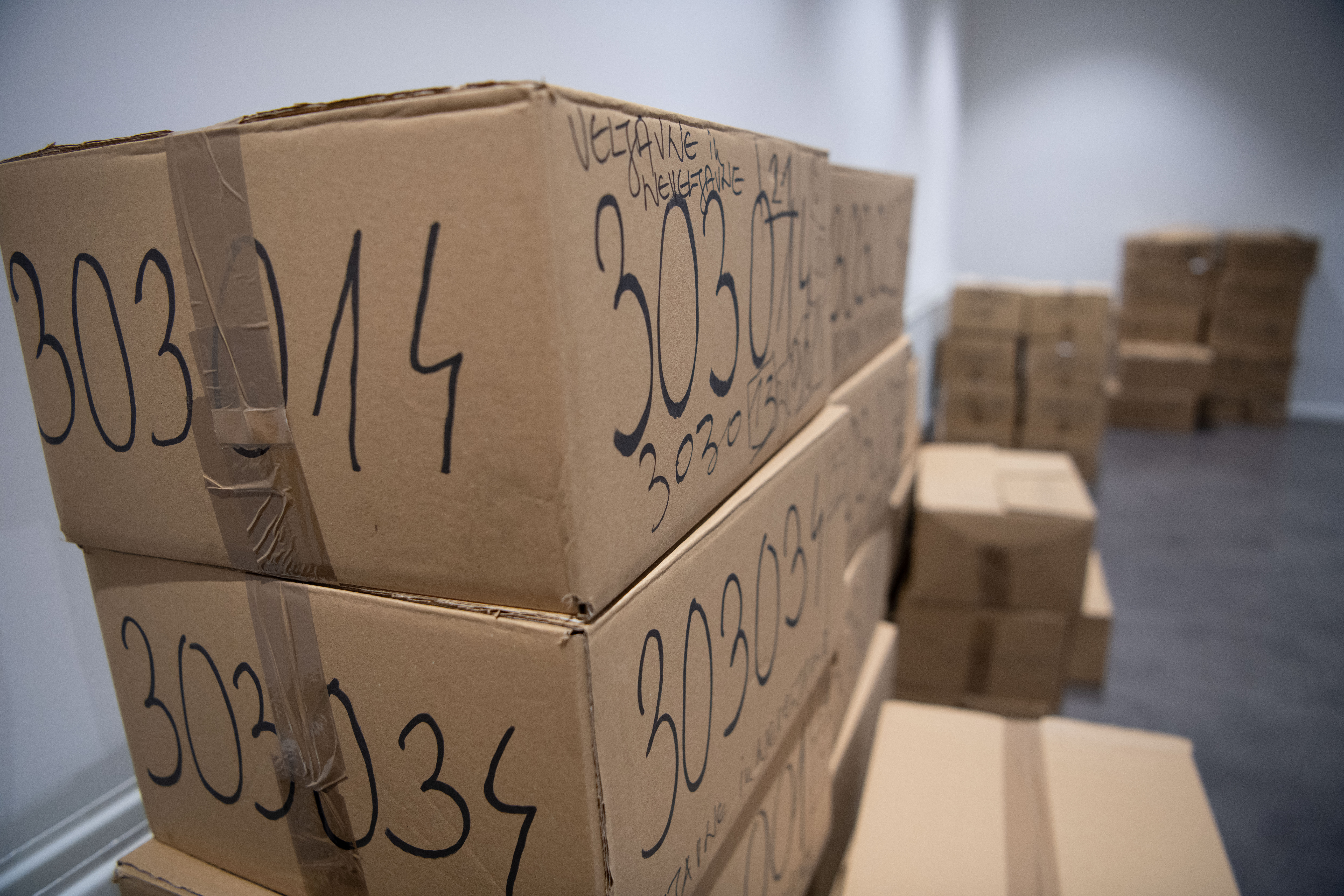 referendum, glasovnice