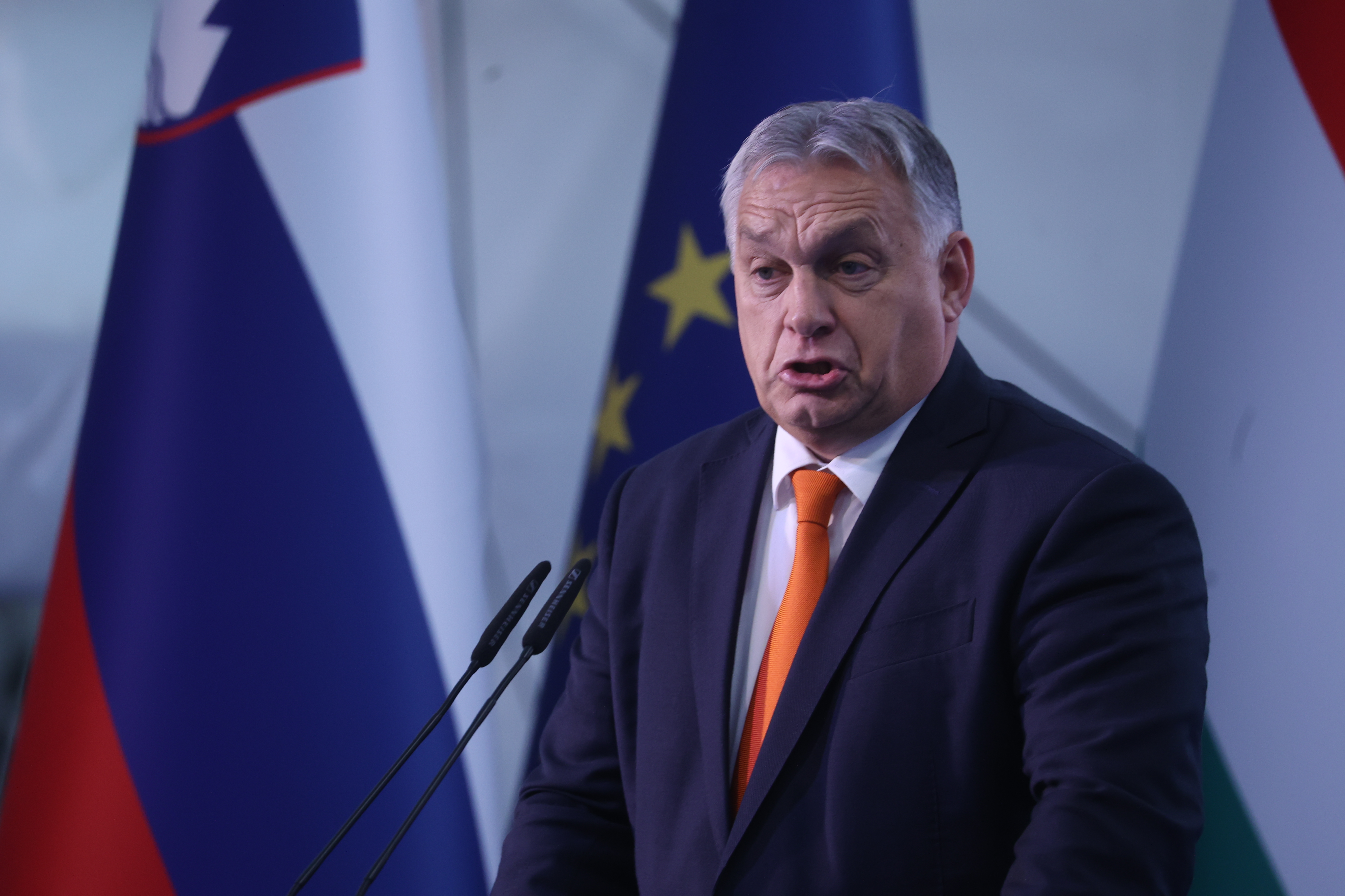 Borut Živulovič/BOBO