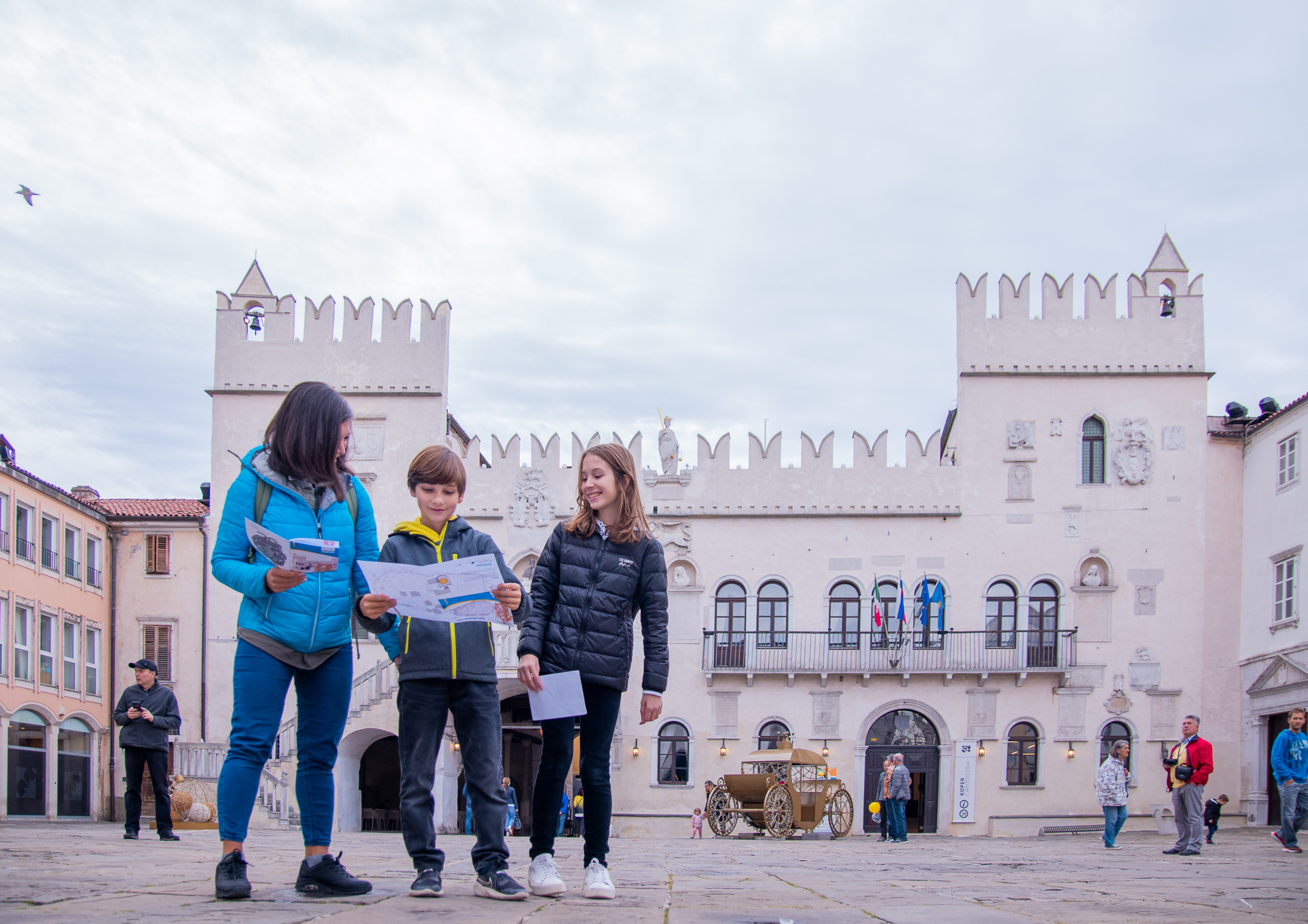 Izziv krilatega muca