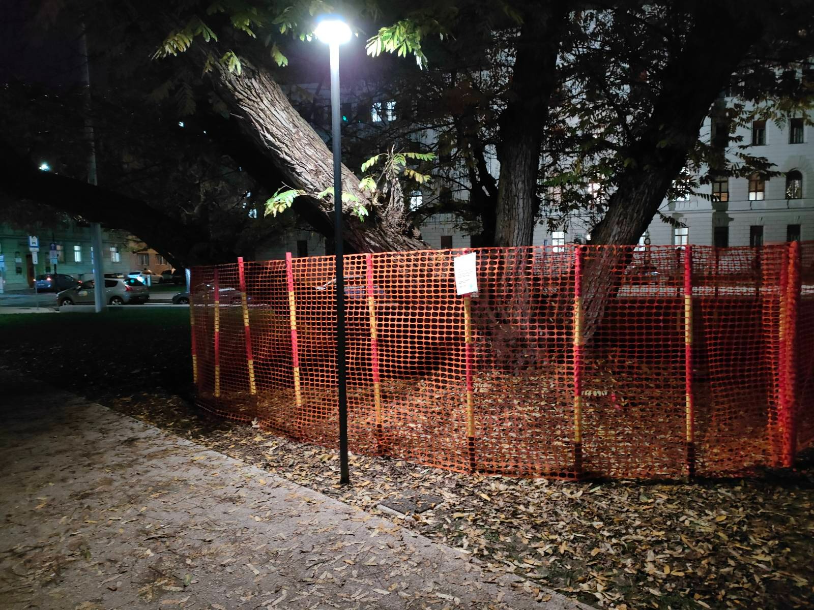 Deratizacija v Miklošičevem parku