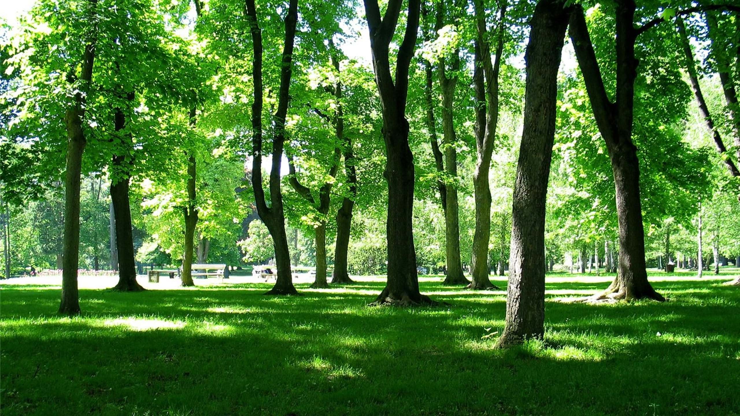 Marko Petrej/Visit Maribor