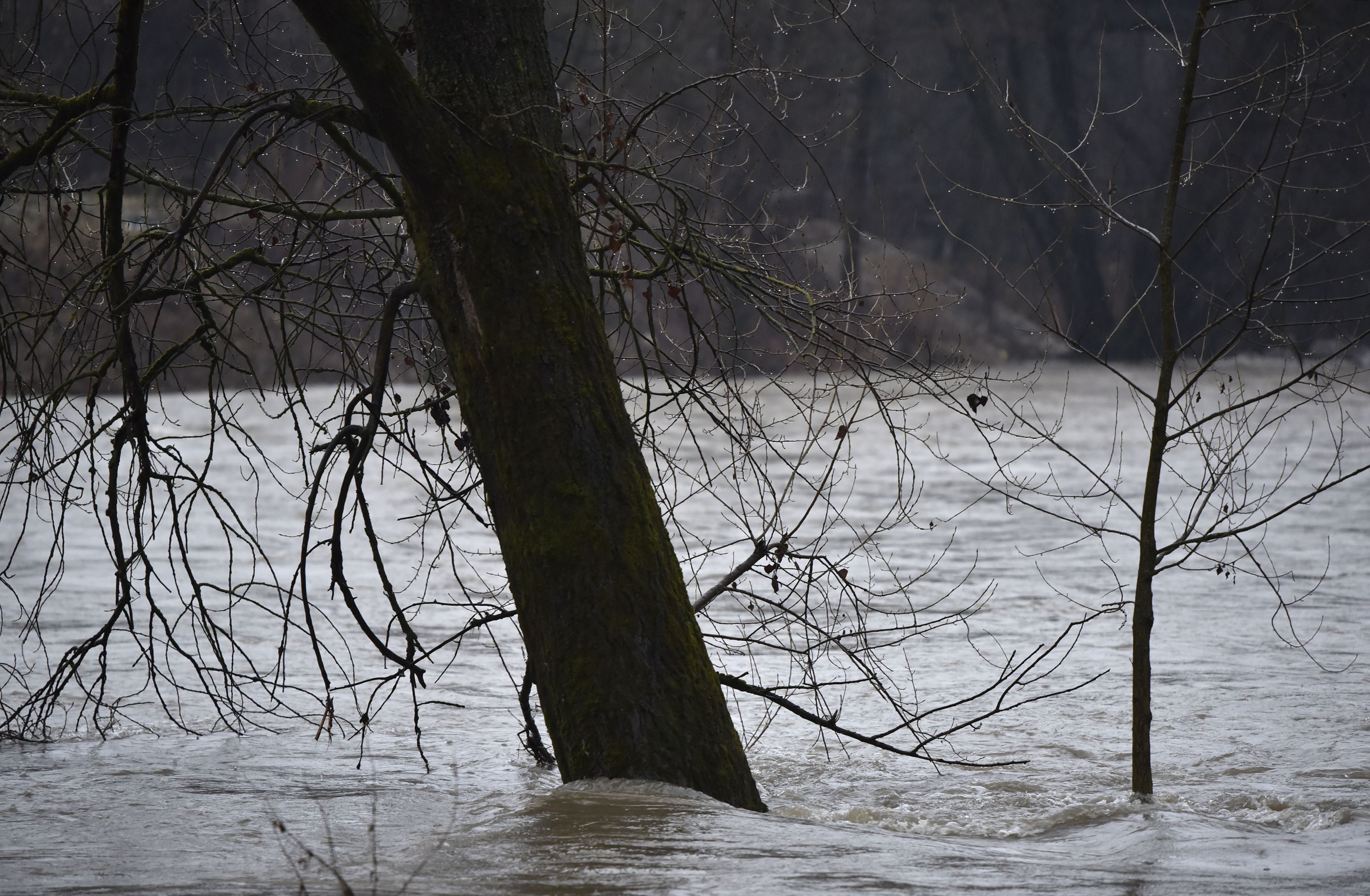 Razlivanje rek narava deževje