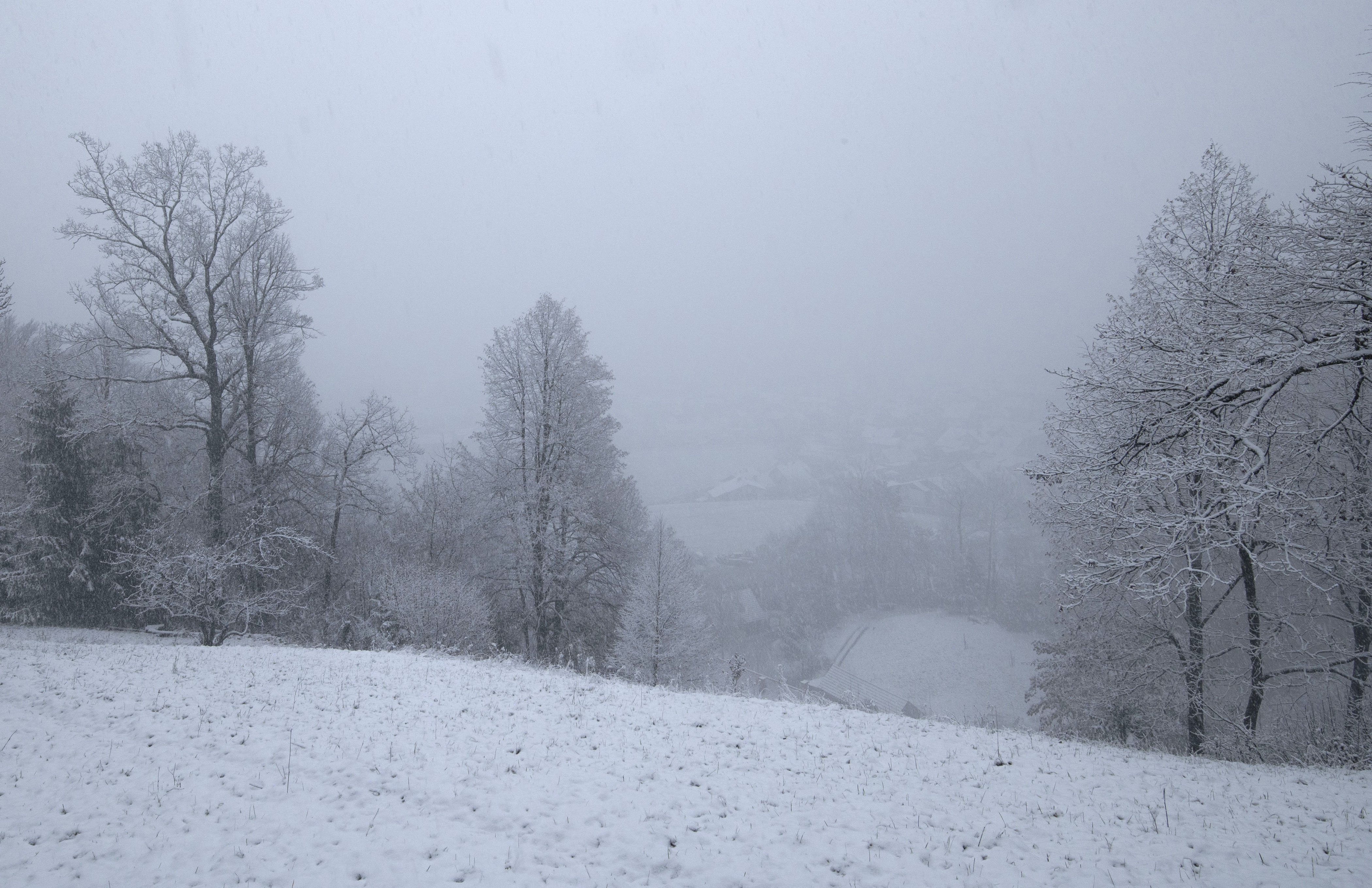 Narava, sneg, zima, sneženje