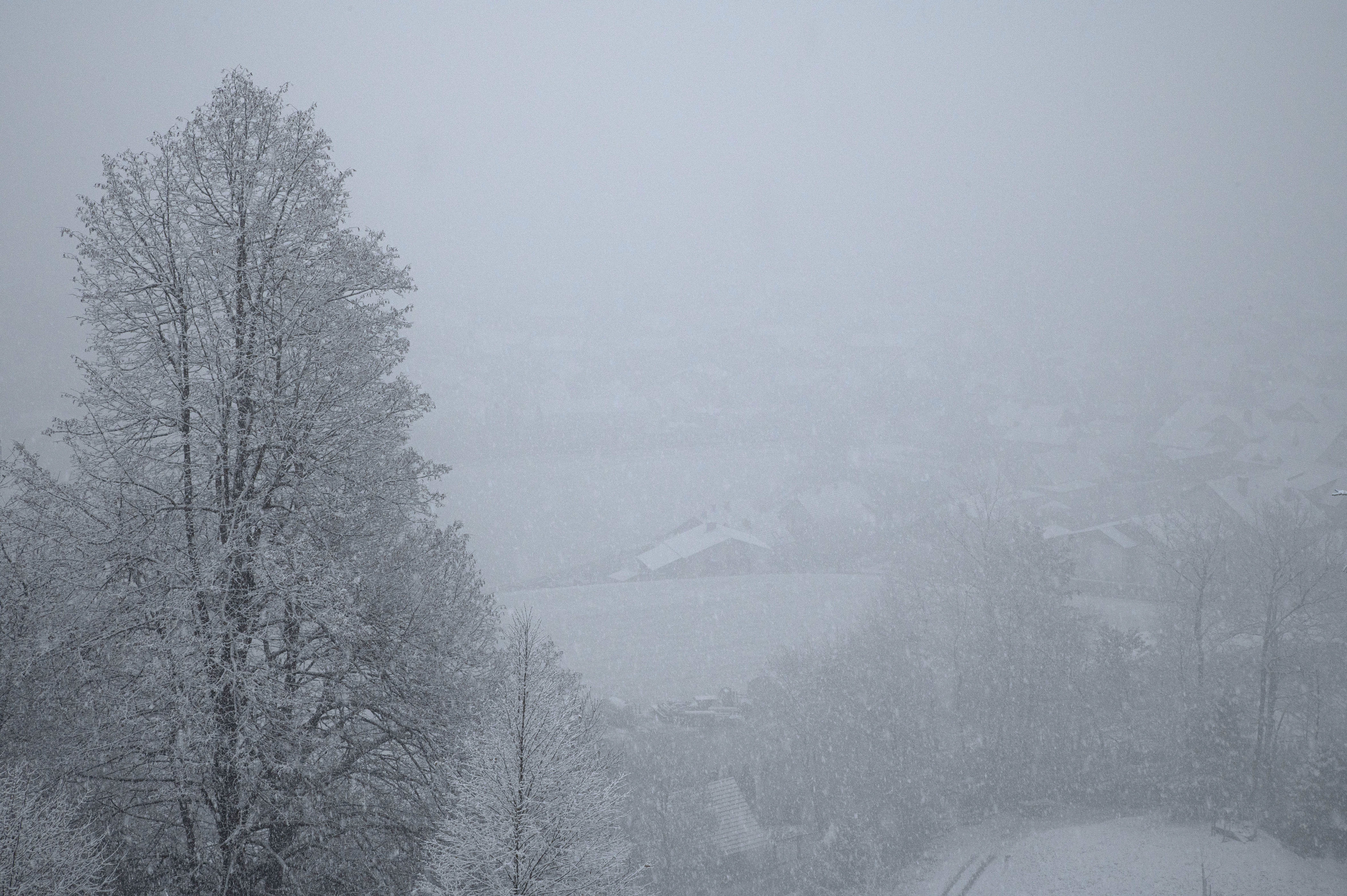 Žiga Živulovič jr./BOBO