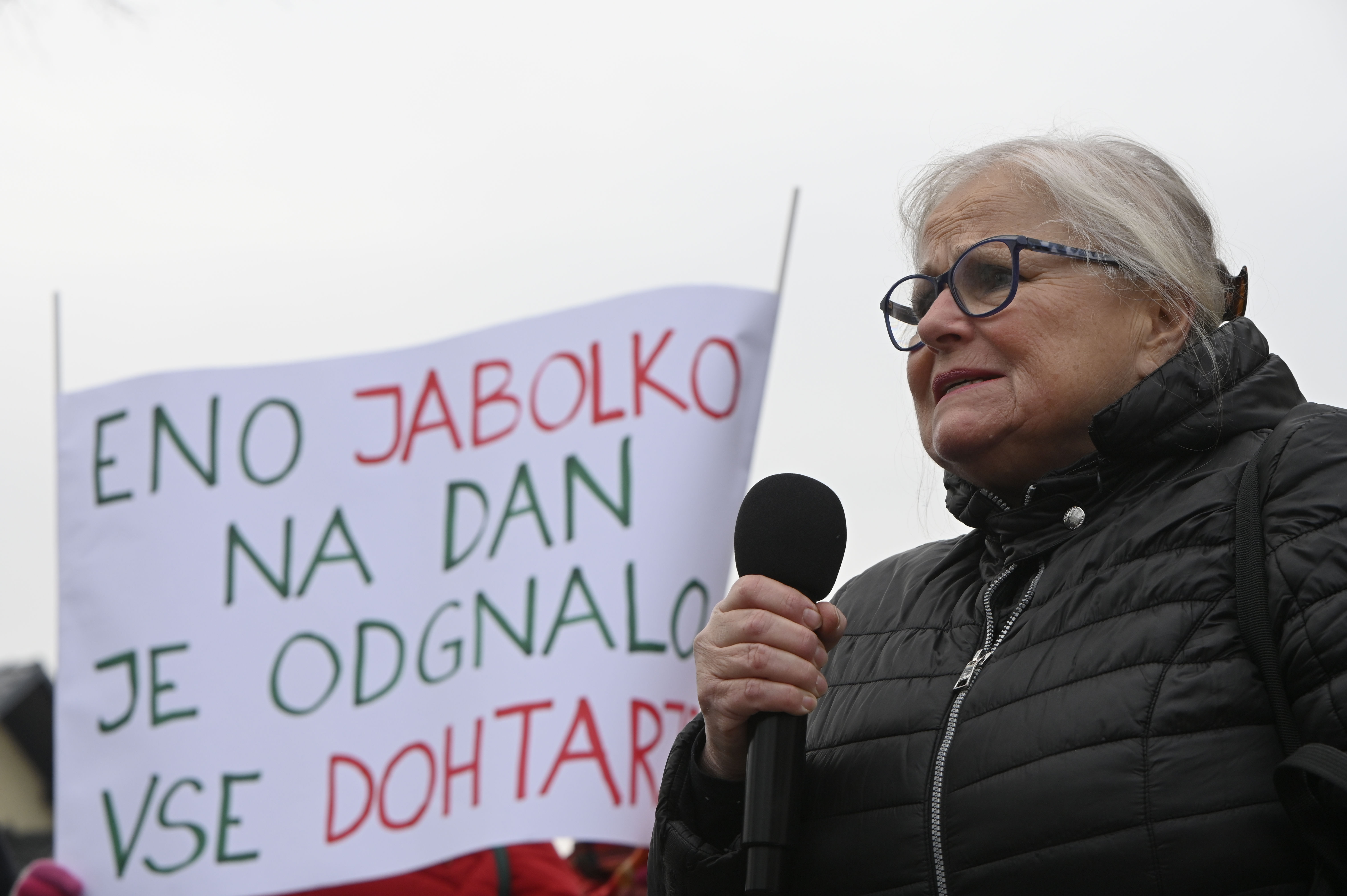 Žiga Živulović jr./BOBO