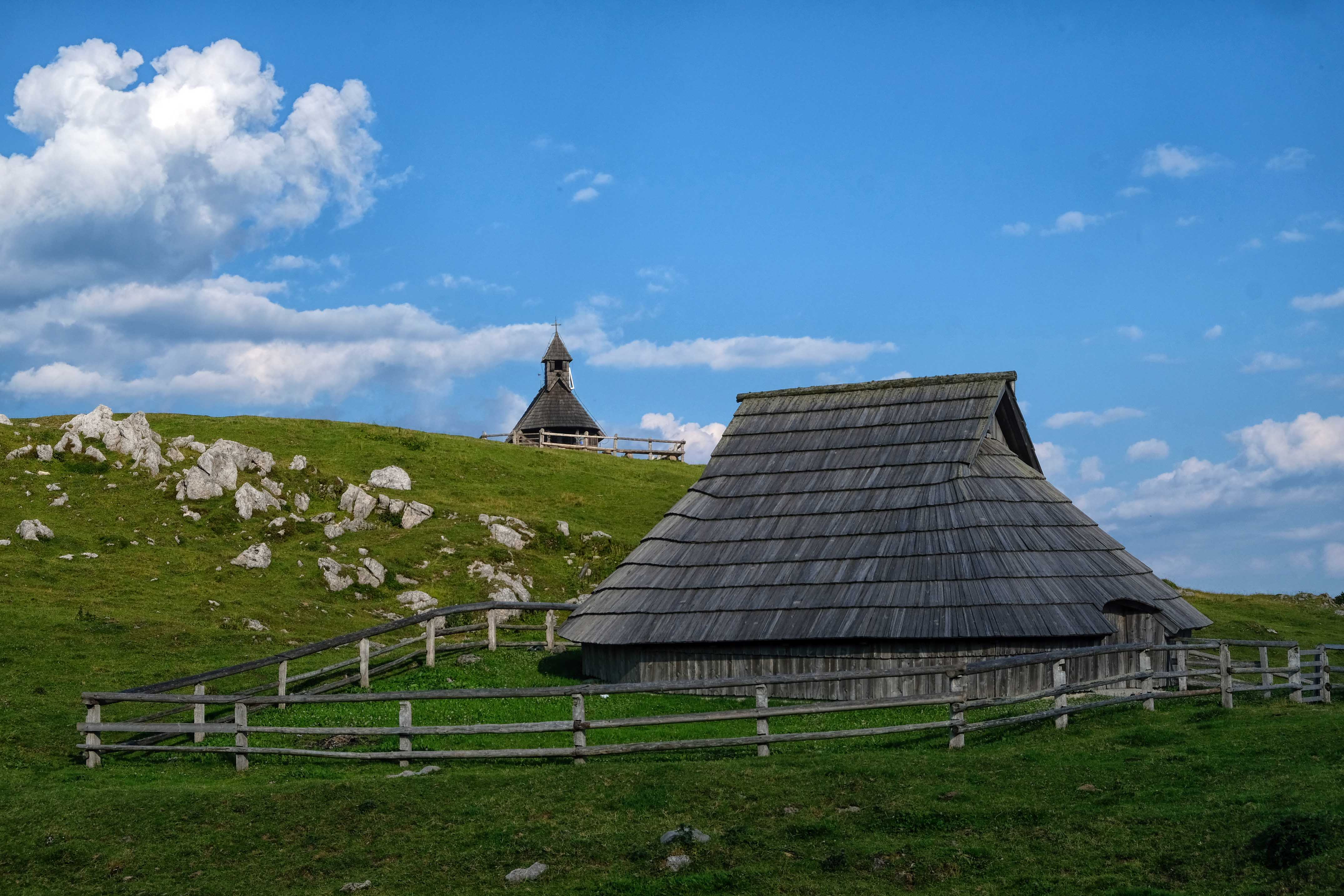 Srdjan Živulović /Bobo