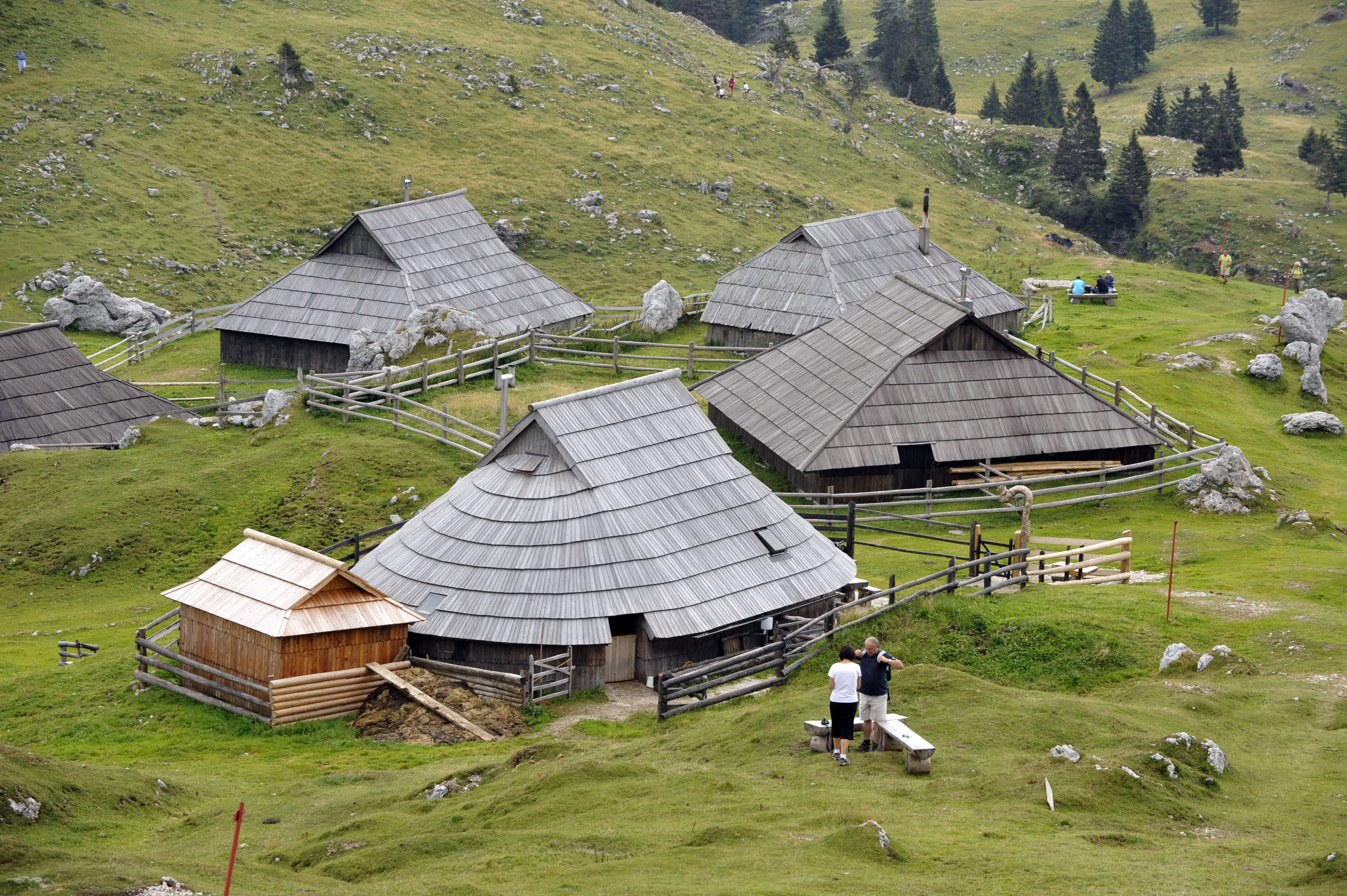 velika planina