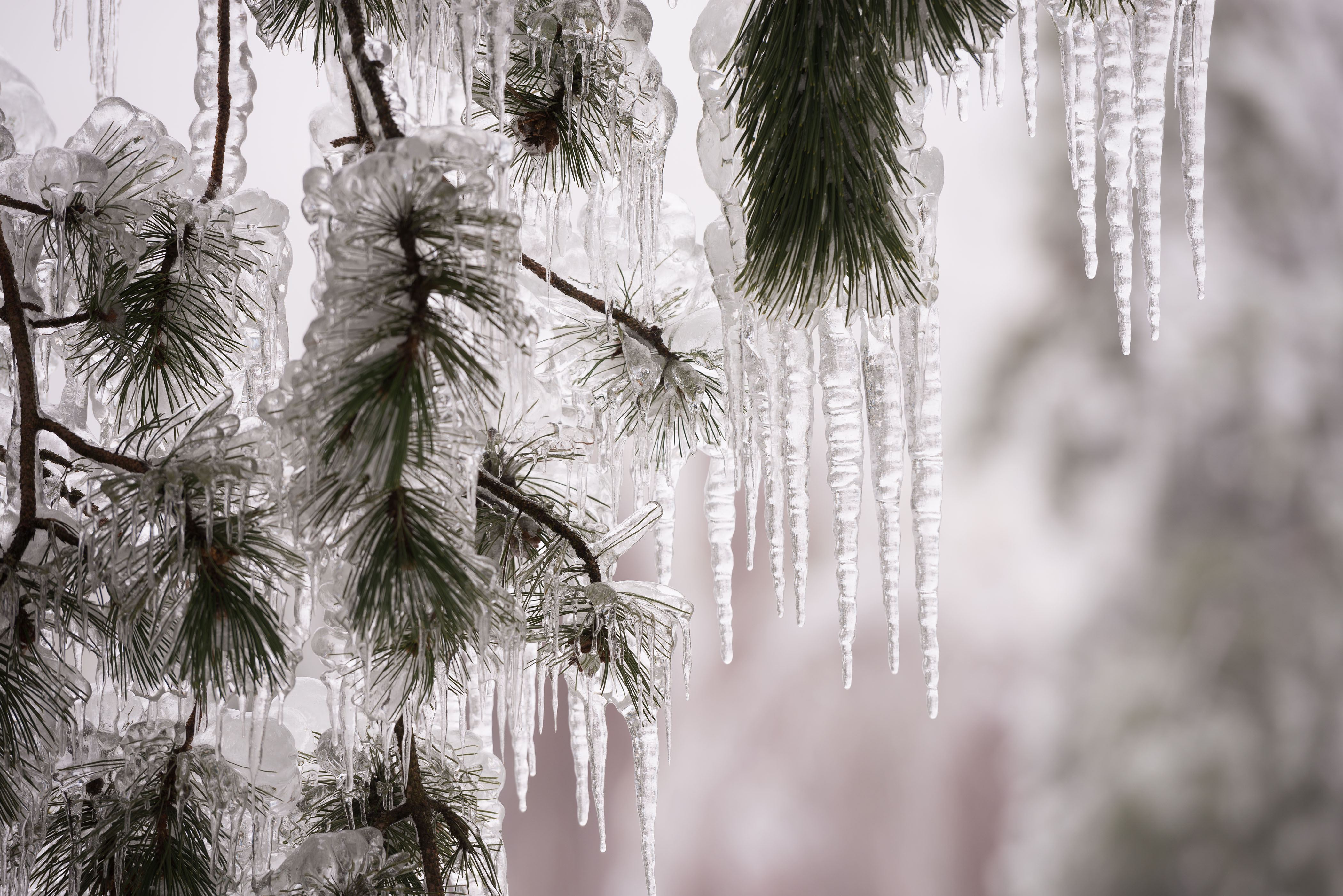 žled,vreme,padavine,mraz,zima,hlad