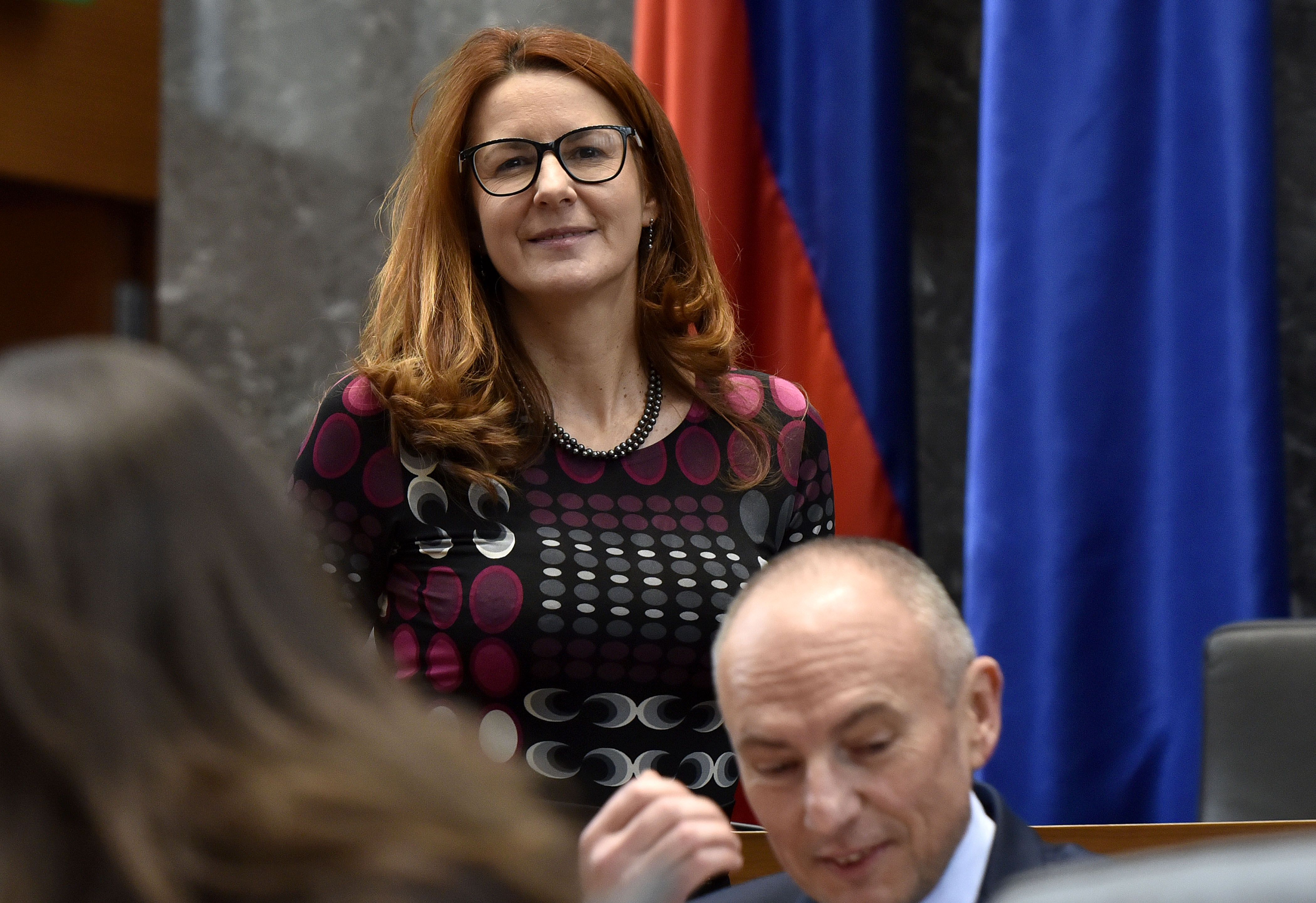 REDNA SEJA DZ RS POSLANCI