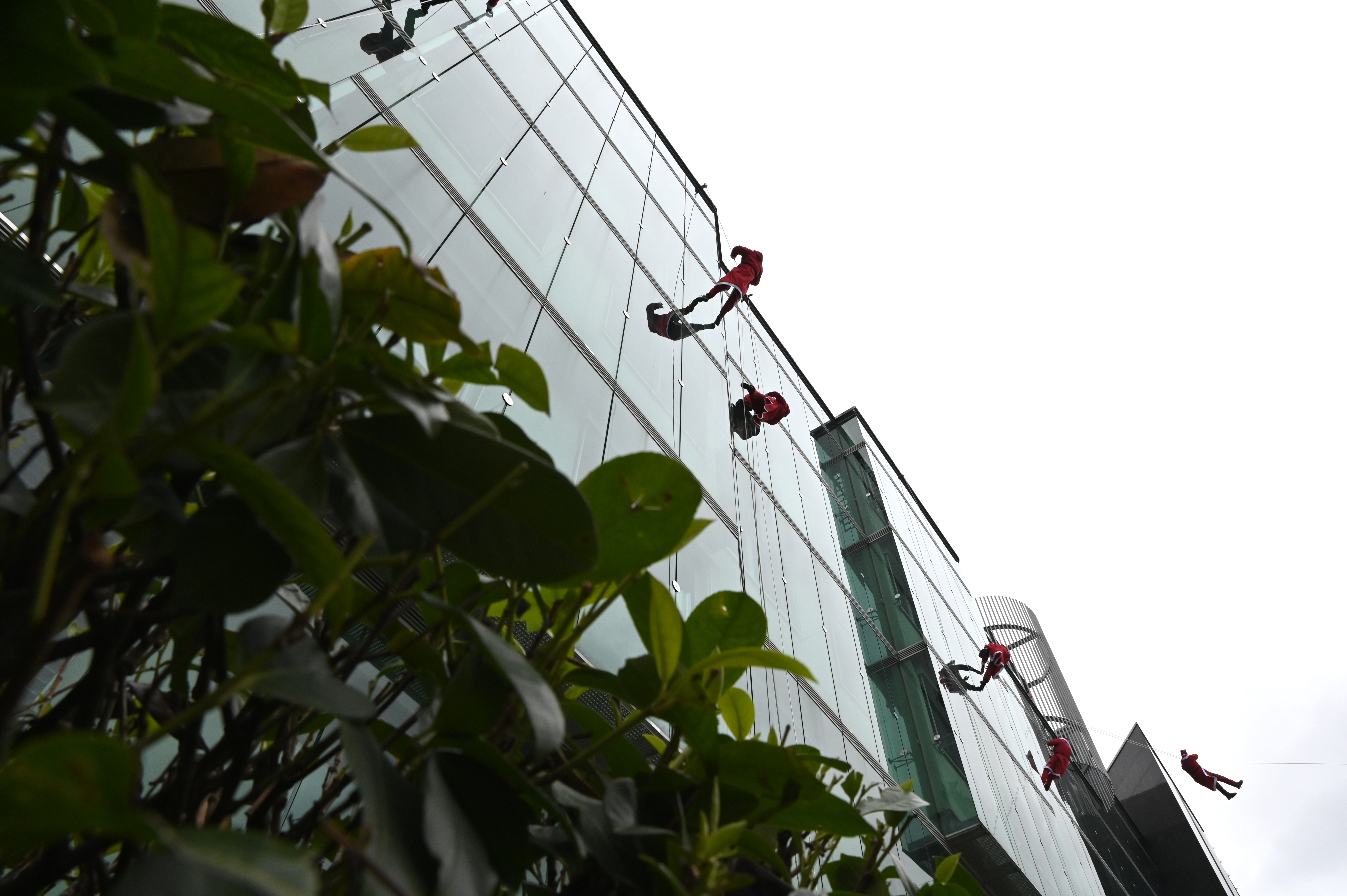 Žiga Živulovič jr./Bobo