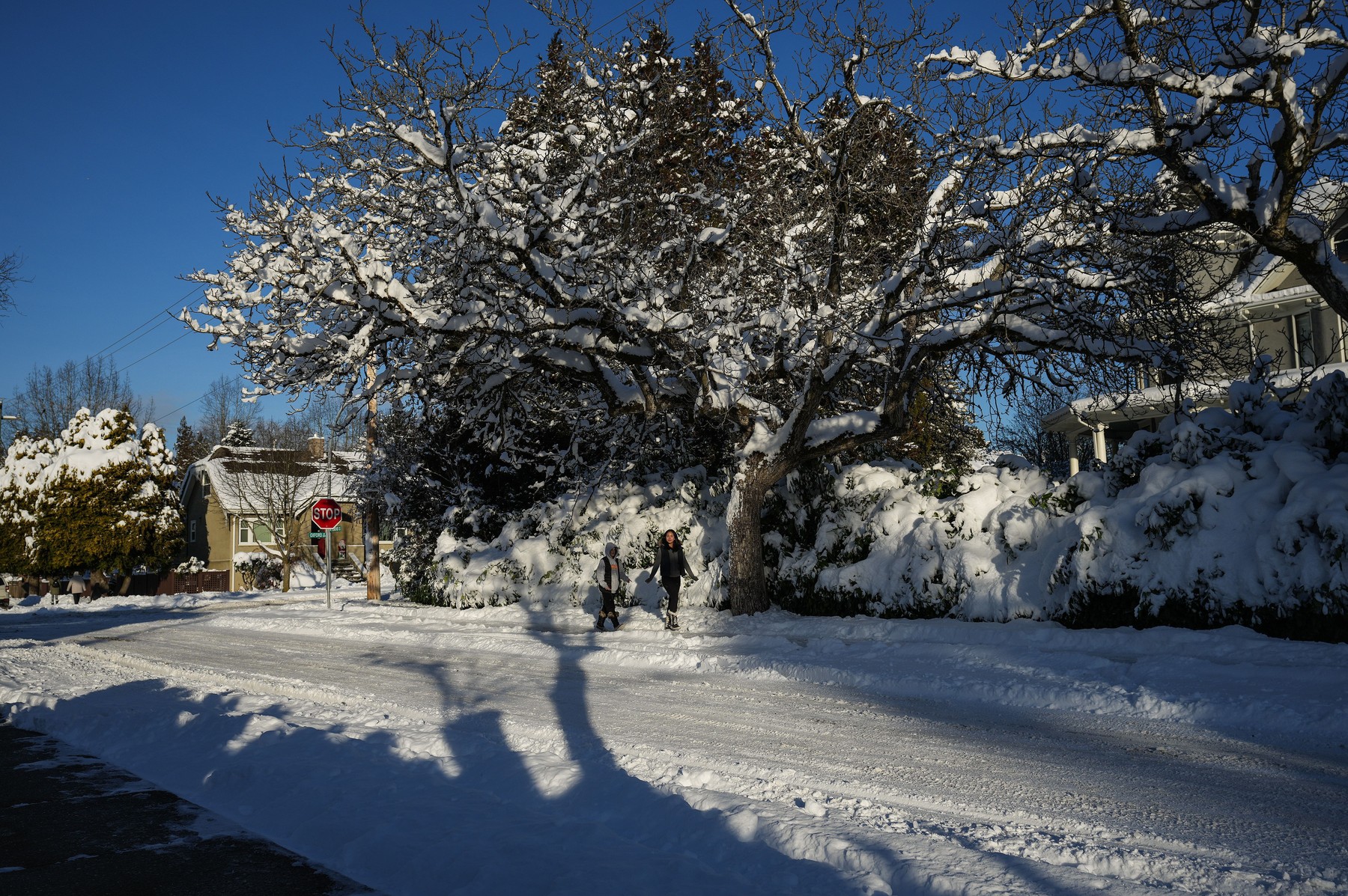 snežna nevihta, sneg, kanada