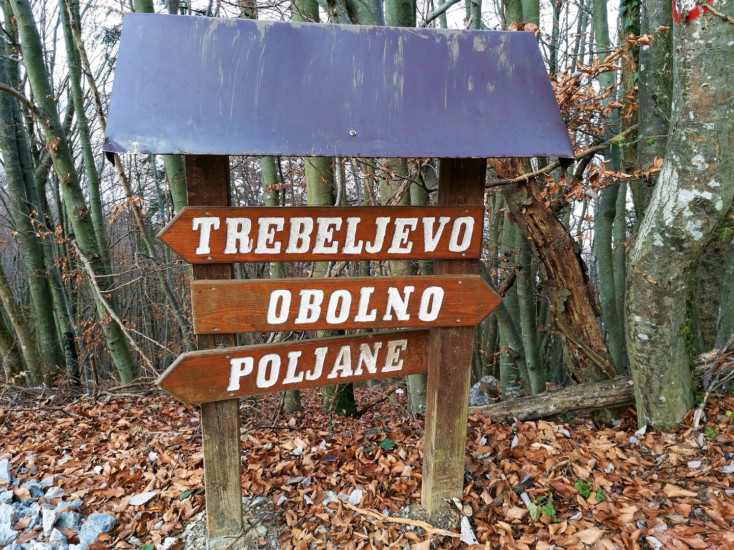 Obolno