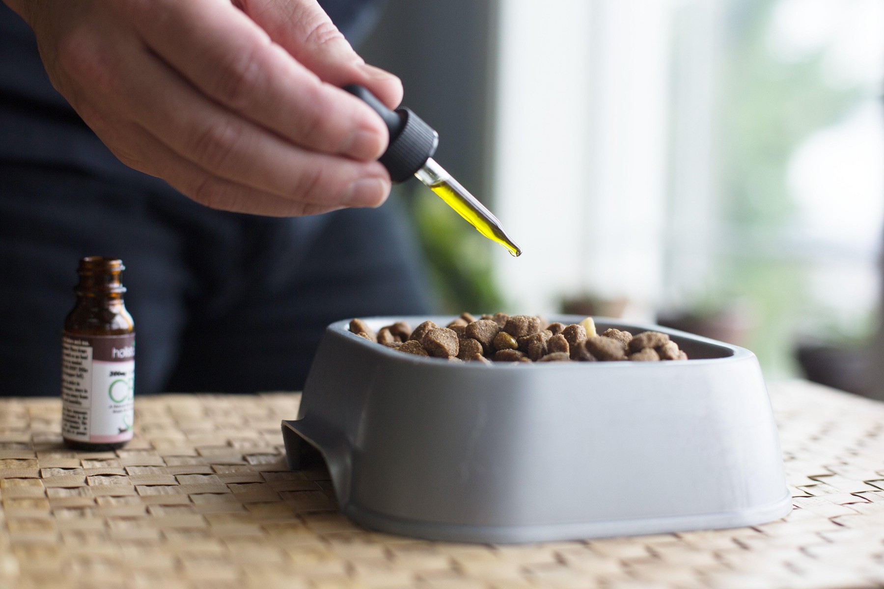 A person squeezing cbd oil onto a dish of dog food.