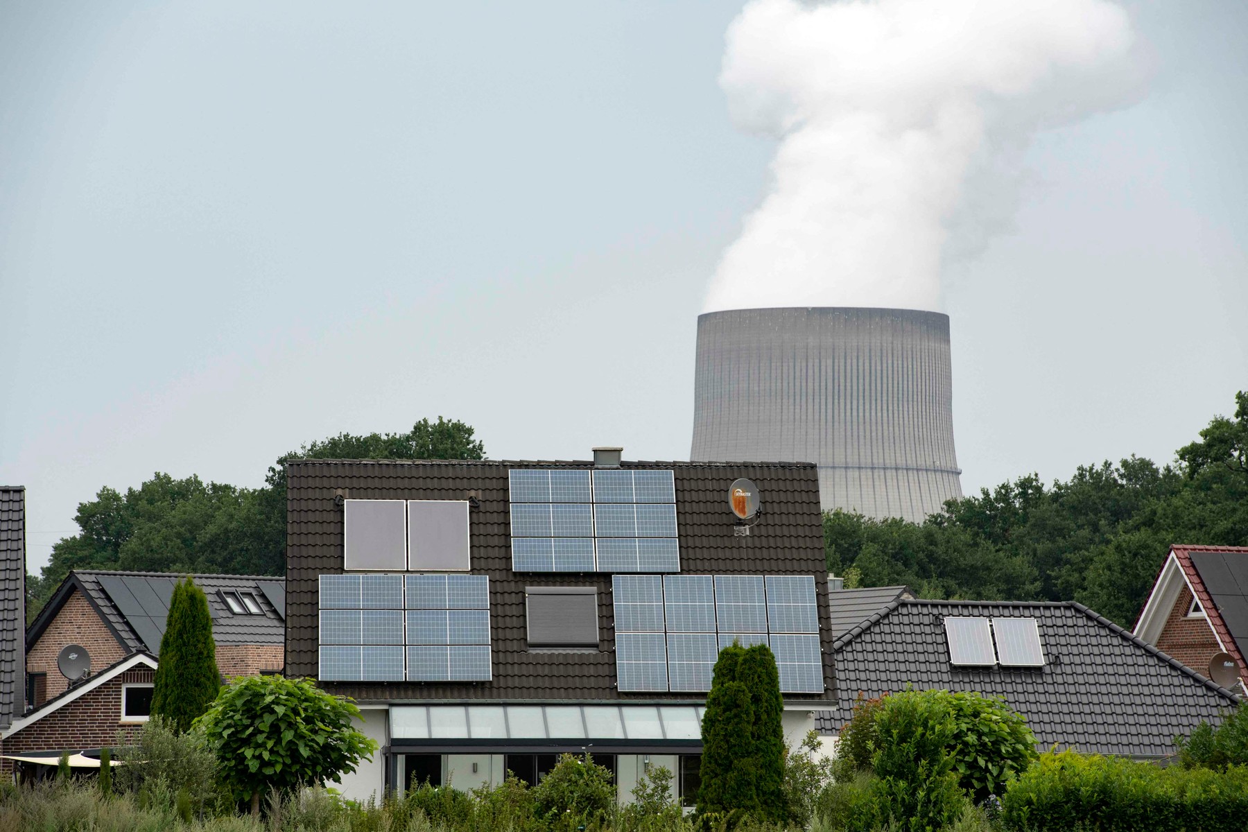 profimedia-0711006886