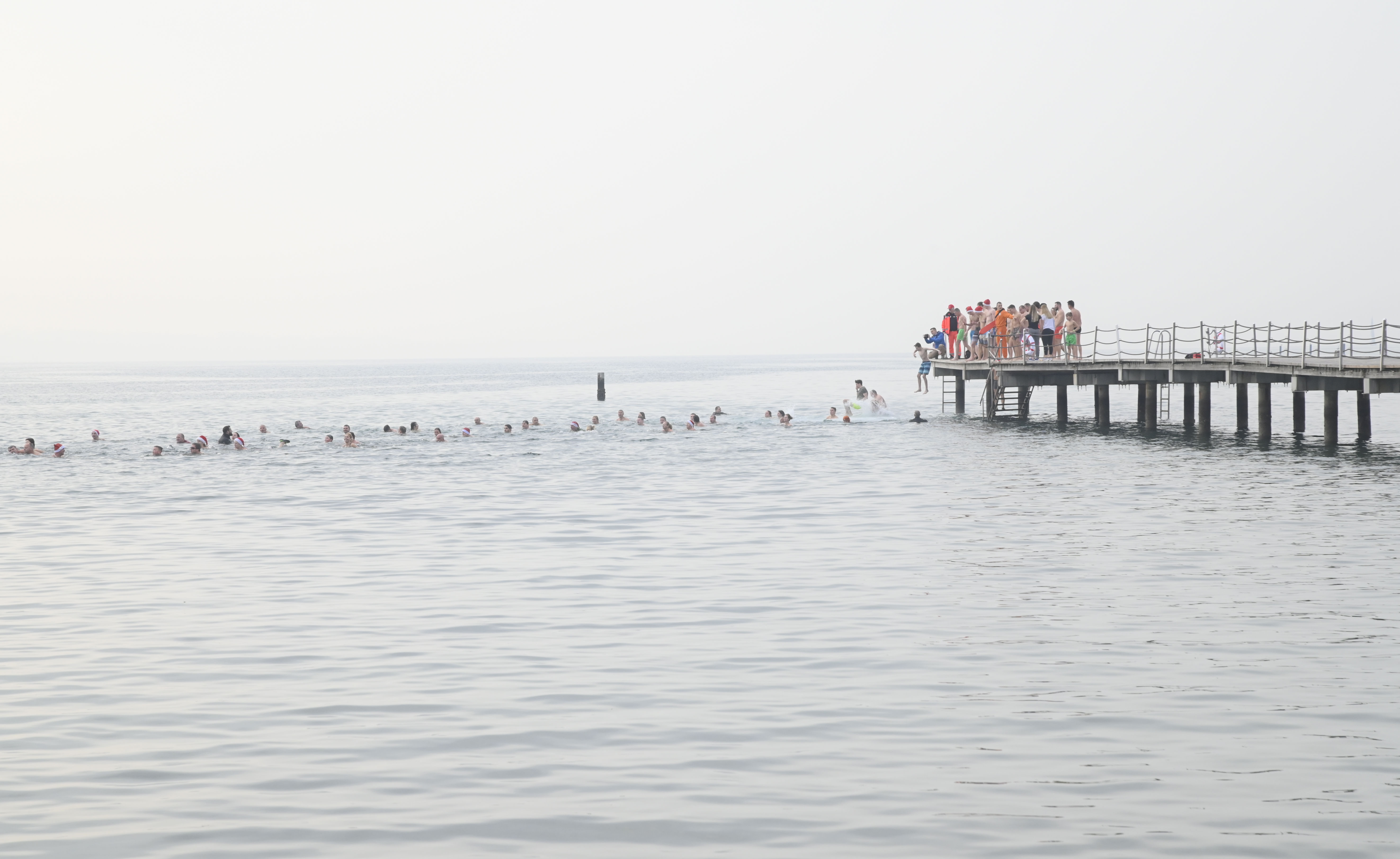 Žiga Živulovič jr./BOBO