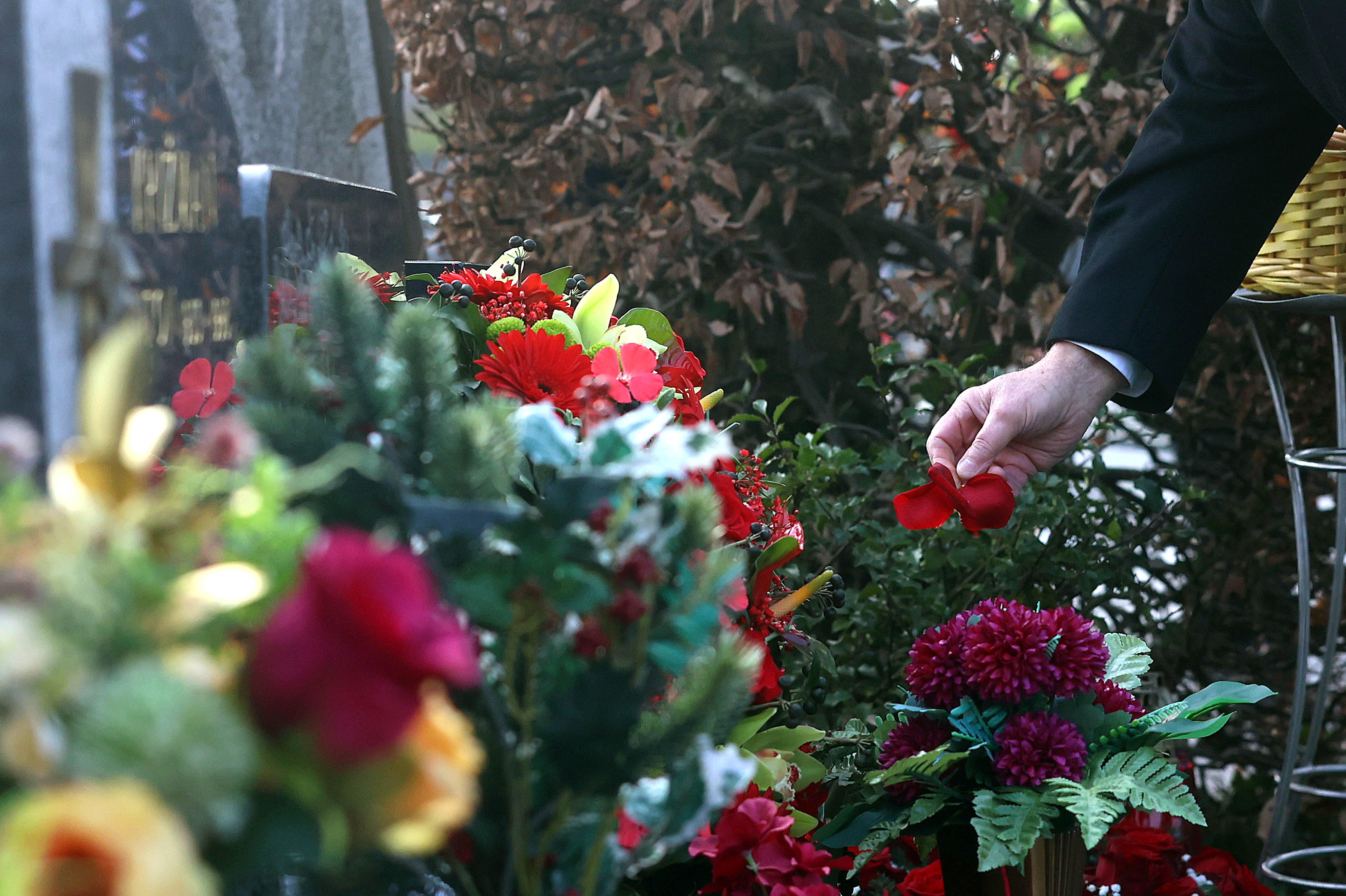 Borut Živulovič/BOBO