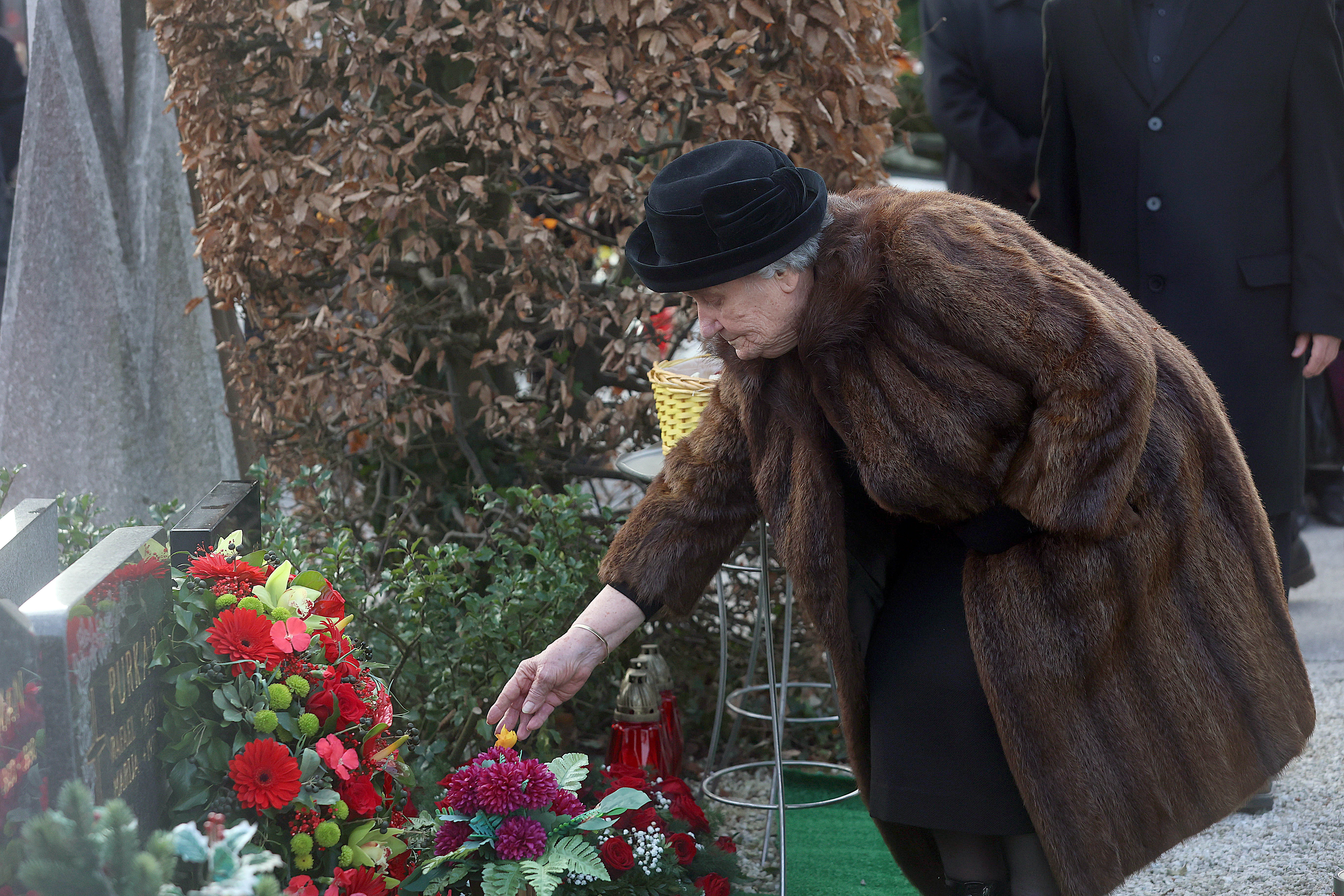 Borut Živulovič/BOBO