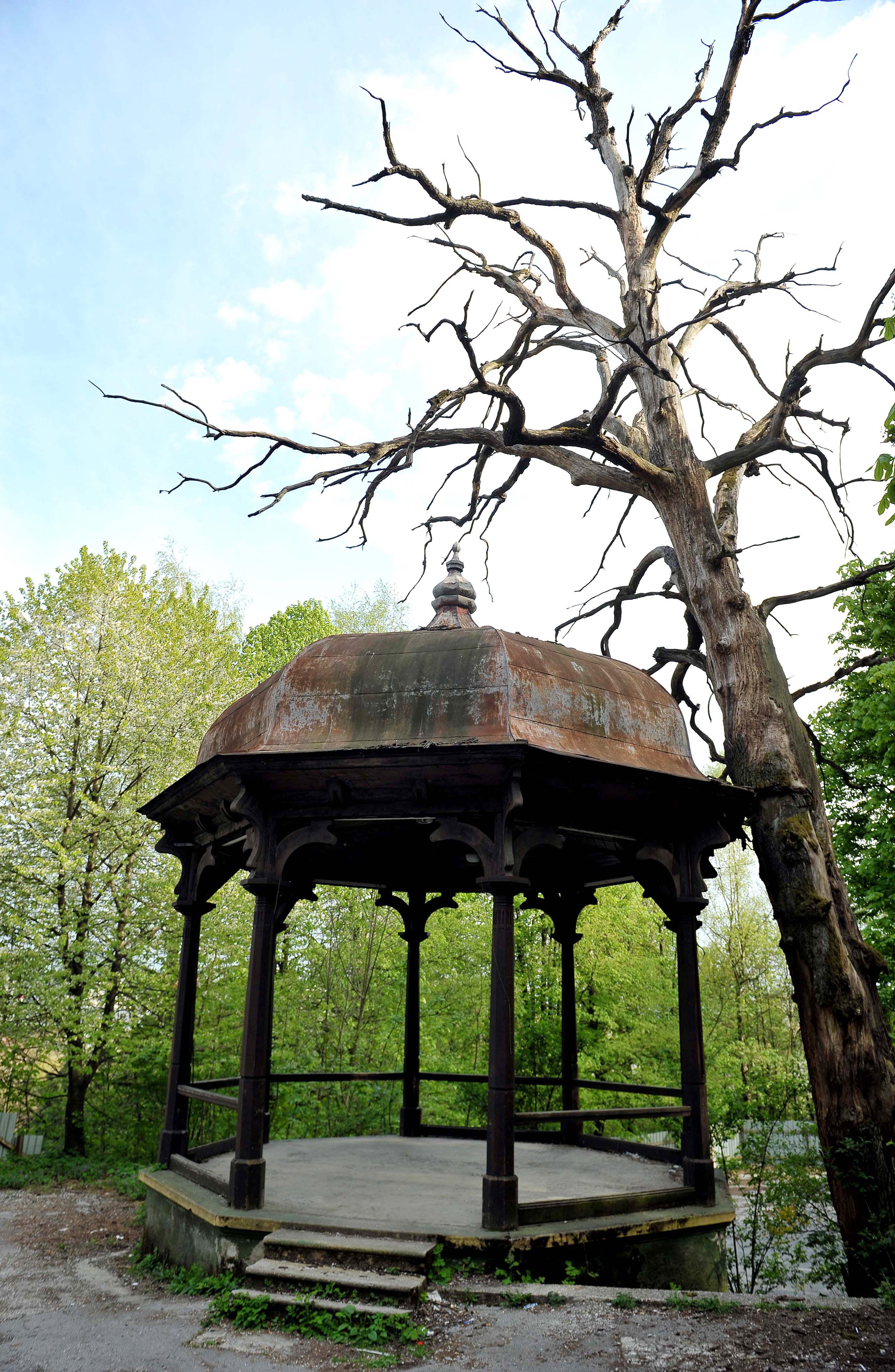 Srdjan Živulović/BOBO