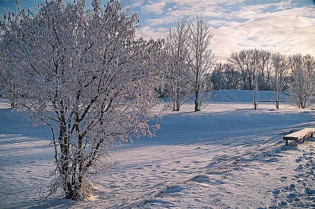 Winter landscape in snow nature with sun and tree.