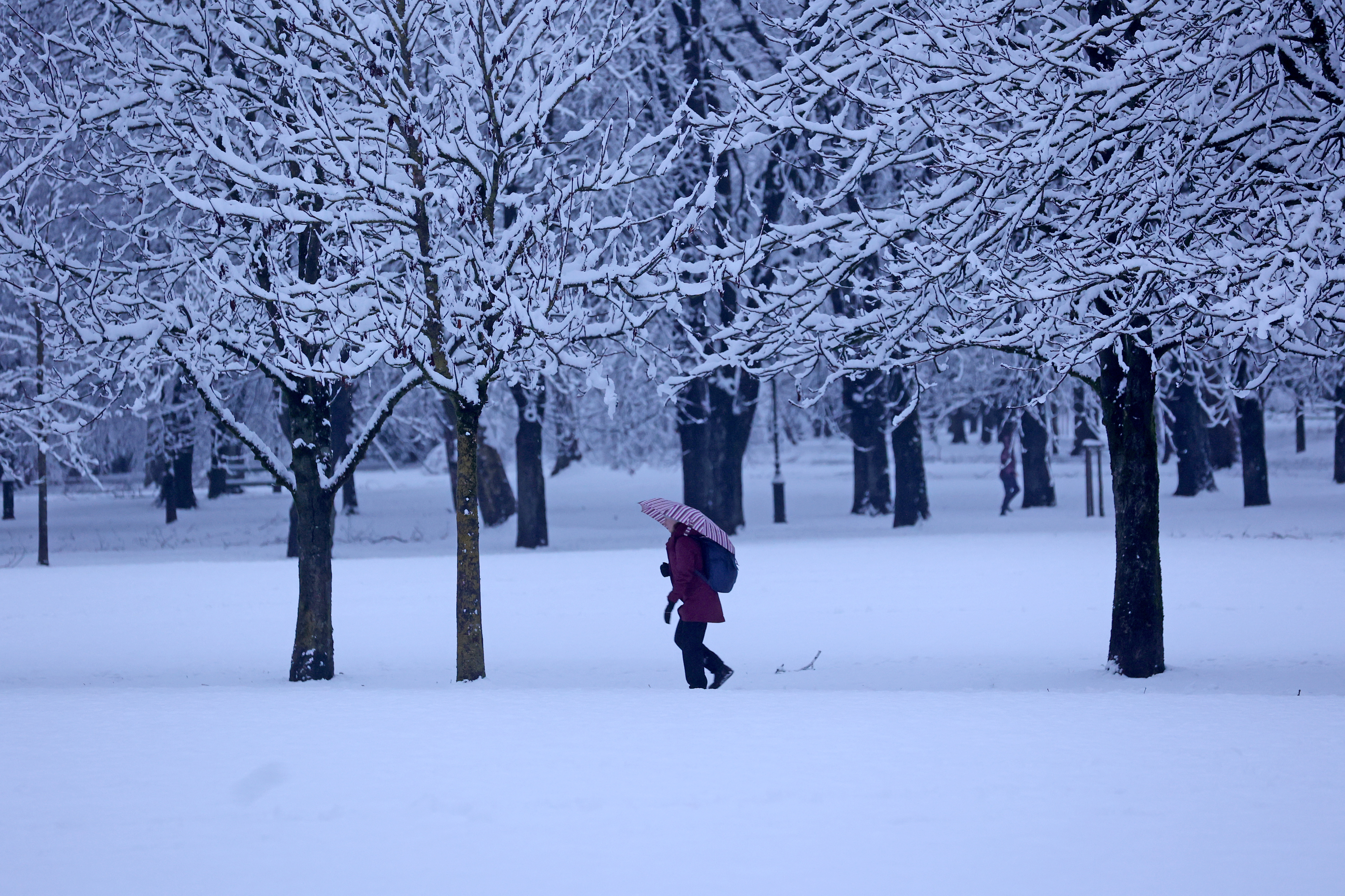Zasnežena Ljubljana, sneg, Ljubljana, sneženje, zima