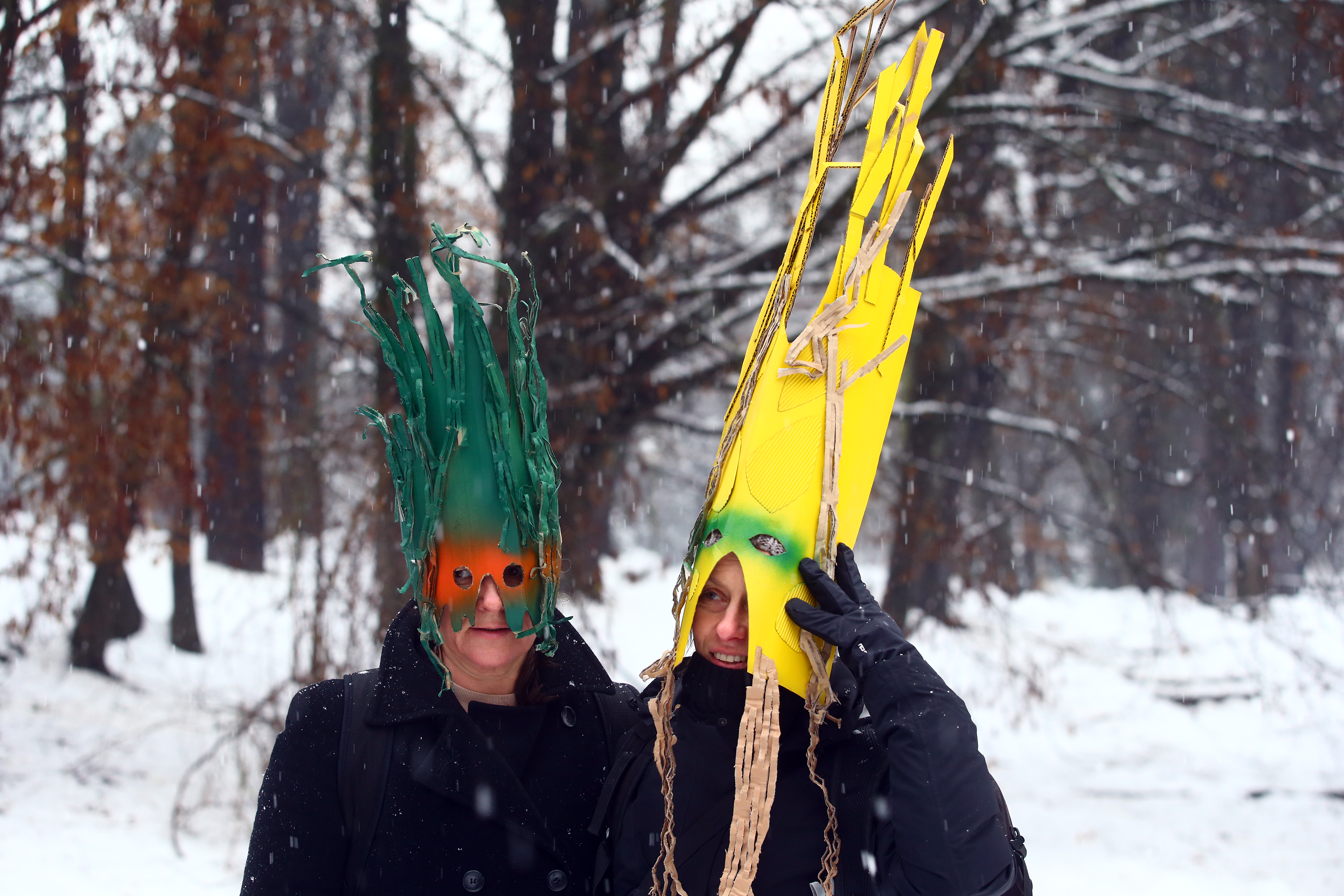 protest, mladi za podnebno pravičnost, sečnja, gozd, rožnik