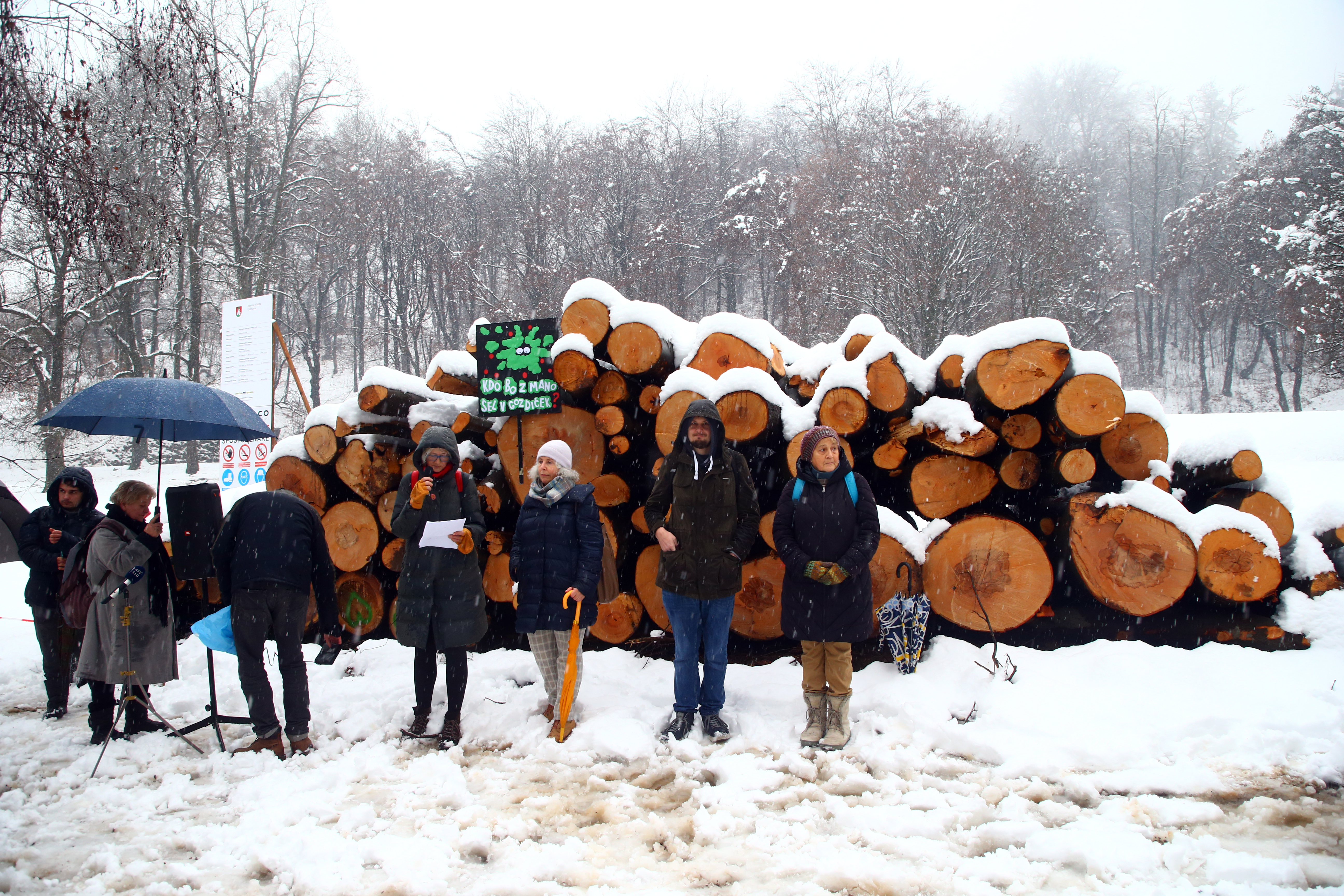 protest, mladi za podnebno pravičnost, sečnja, gozd, rožnik