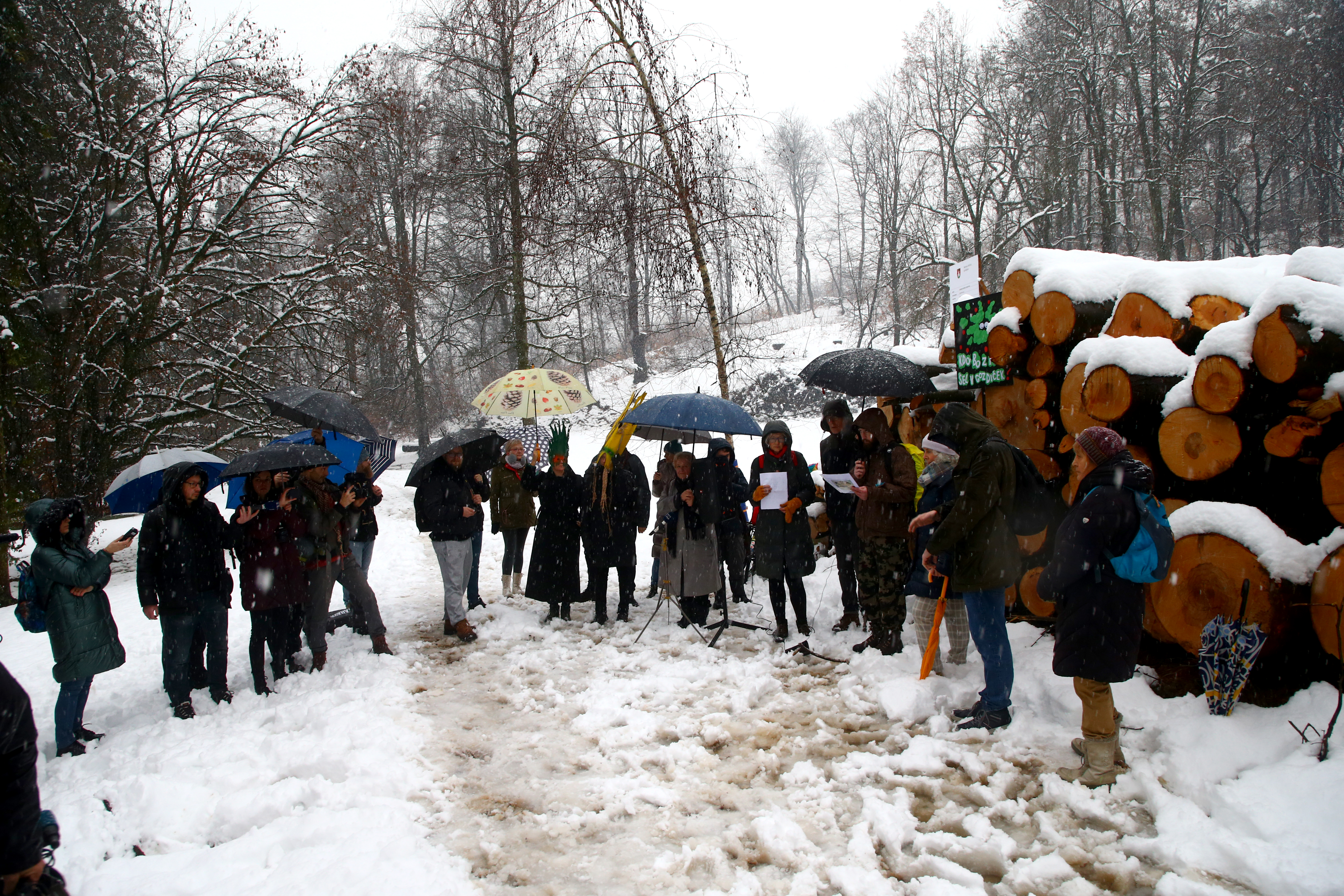 protest, mladi za podnebno pravičnost, sečnja, gozd, rožnik