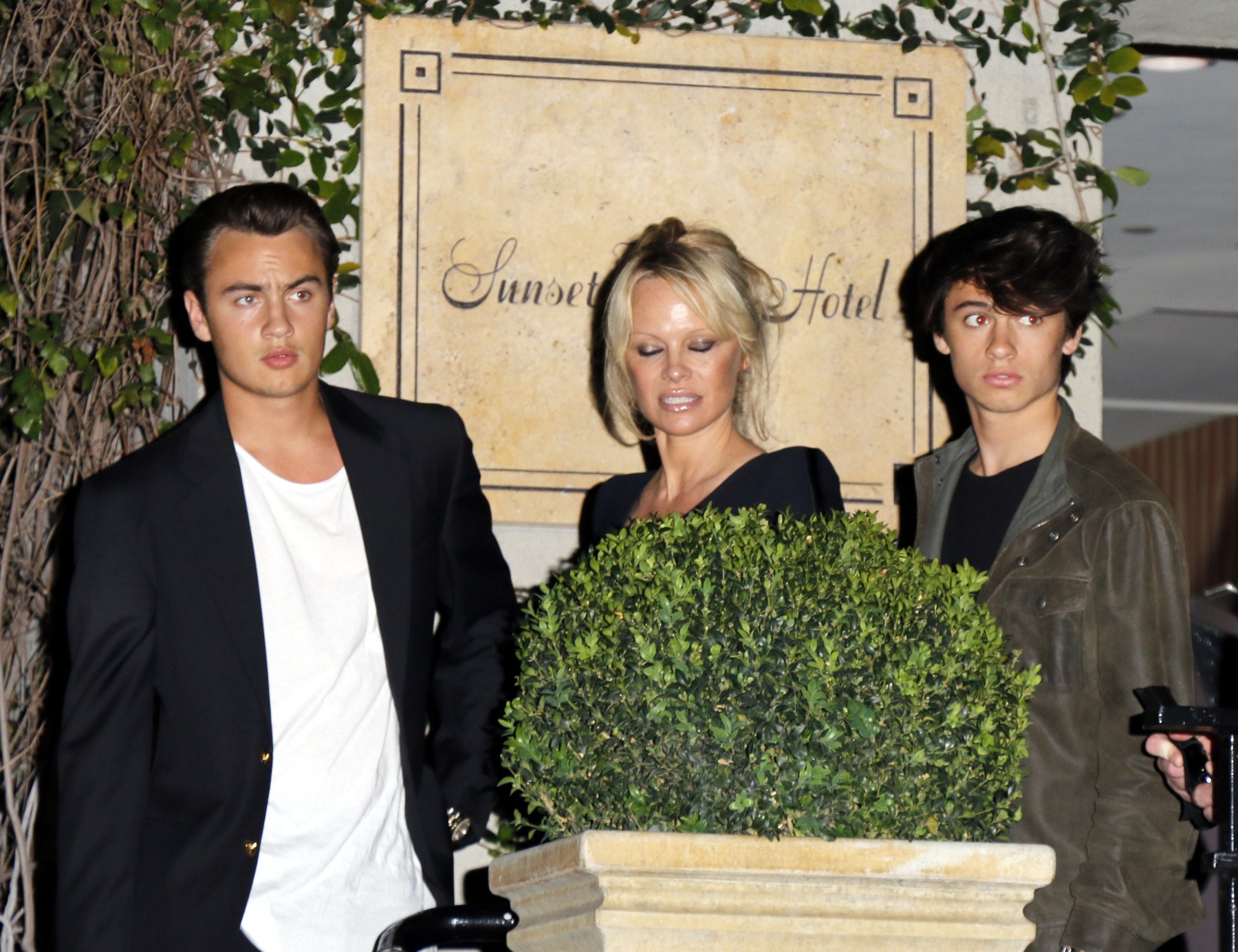 Pamela Anderson s sinovoma