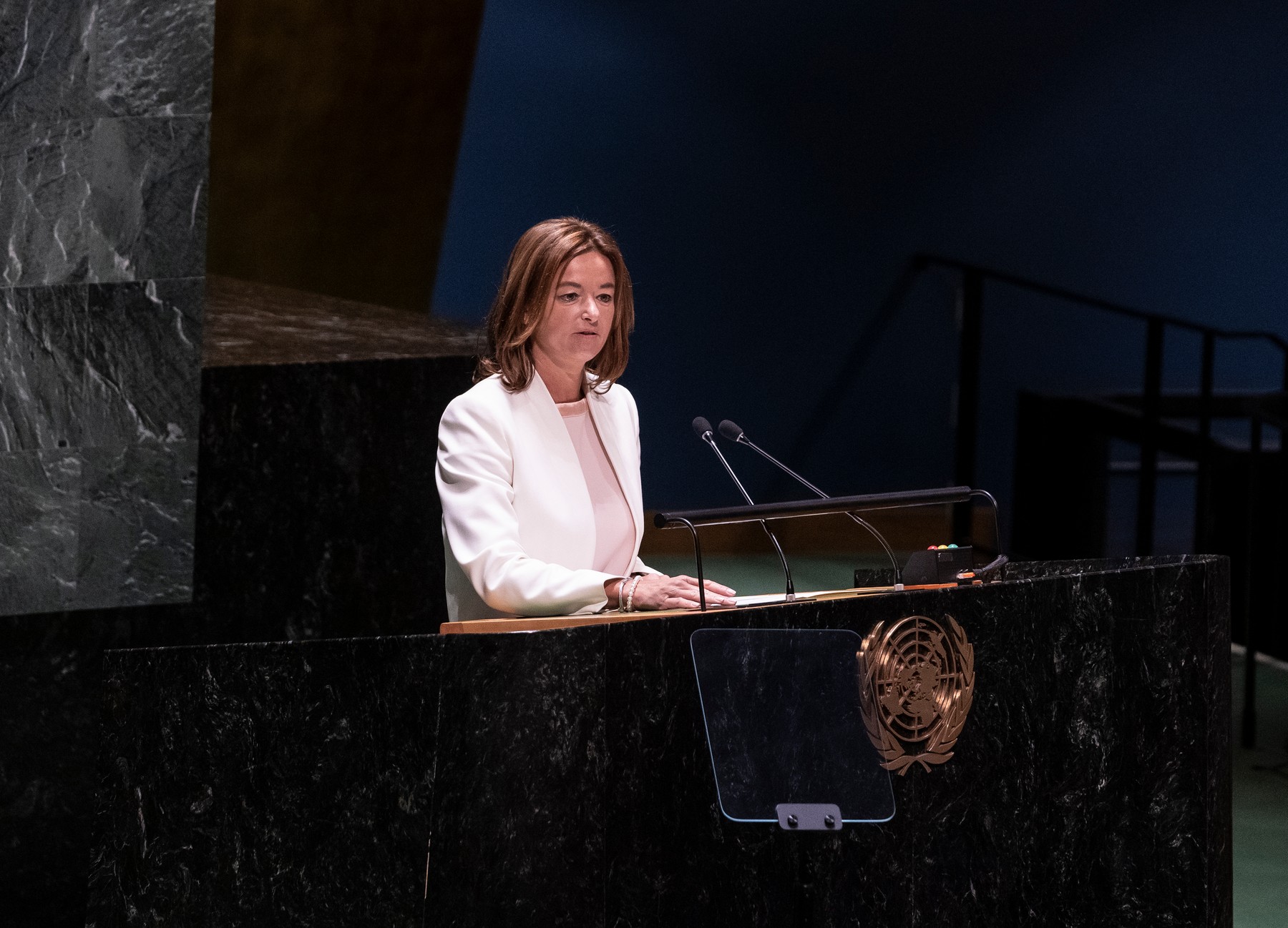 Tanja Fajon v Združenih narodih