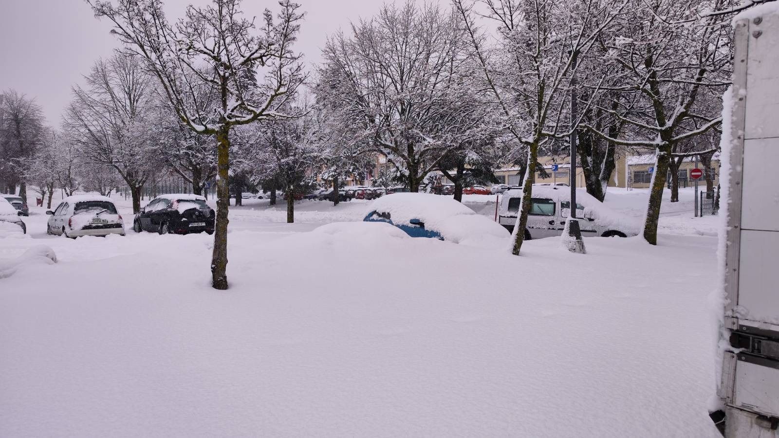 sneg snežne razmere