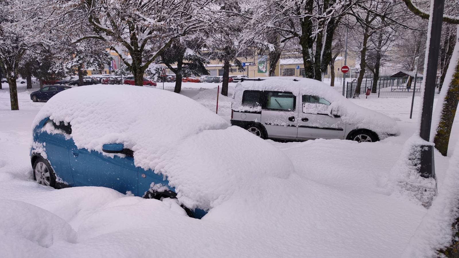sneg snežne razmere