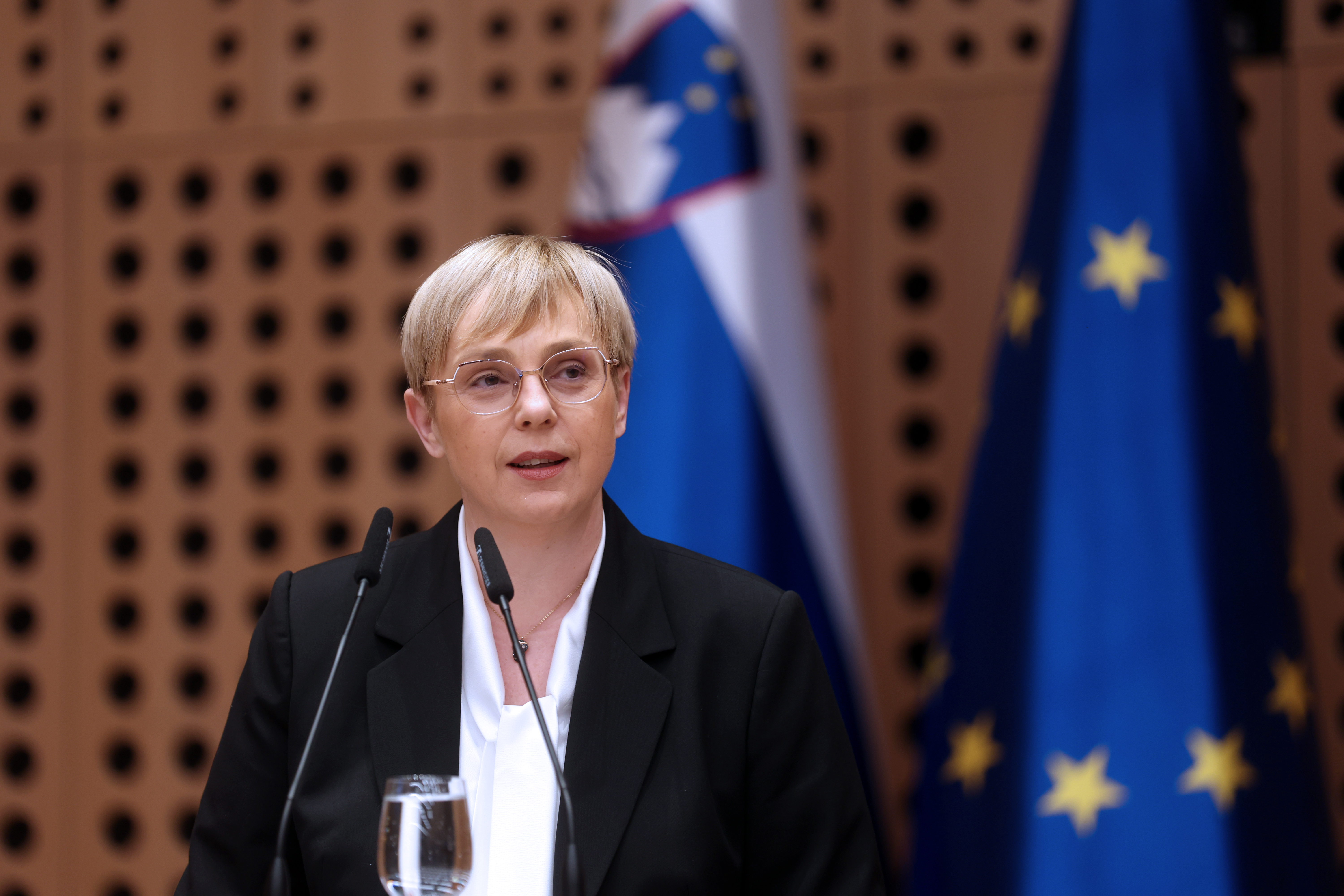 Nataša Pirc Musar, posvet slovenske diplomacije