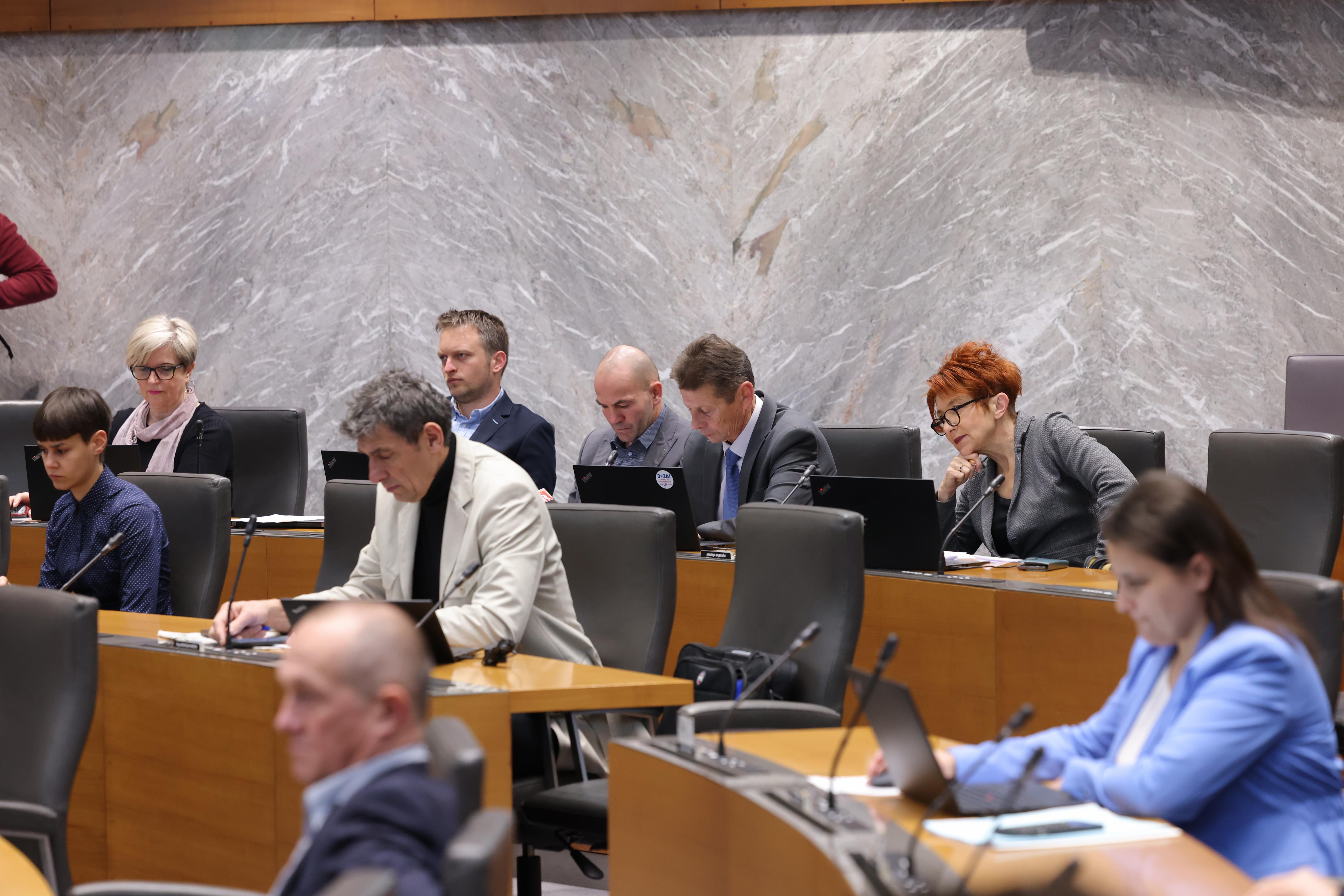 poslanska skupina Svoboda