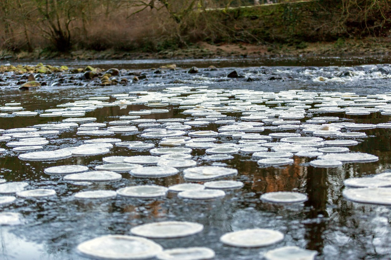 profimedia-0411626850