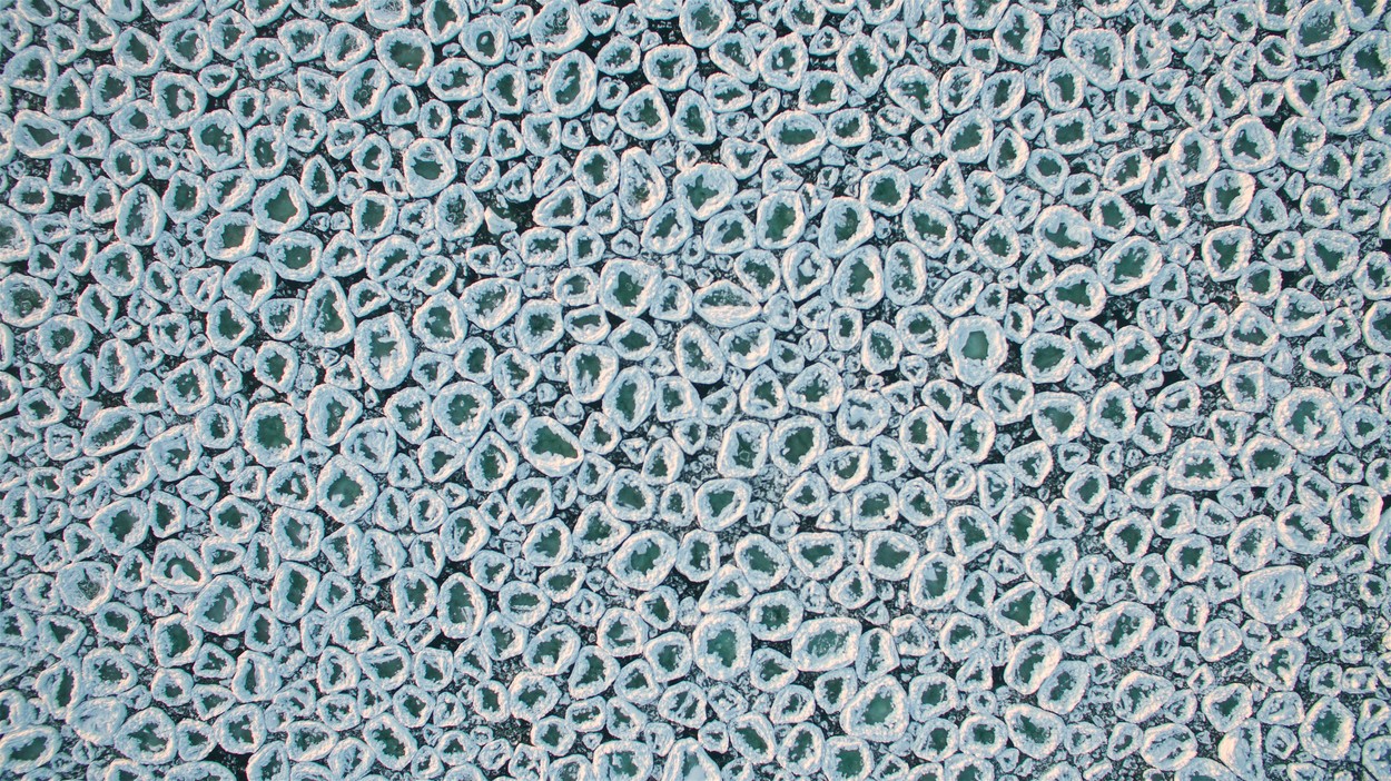 profimedia-0361436085