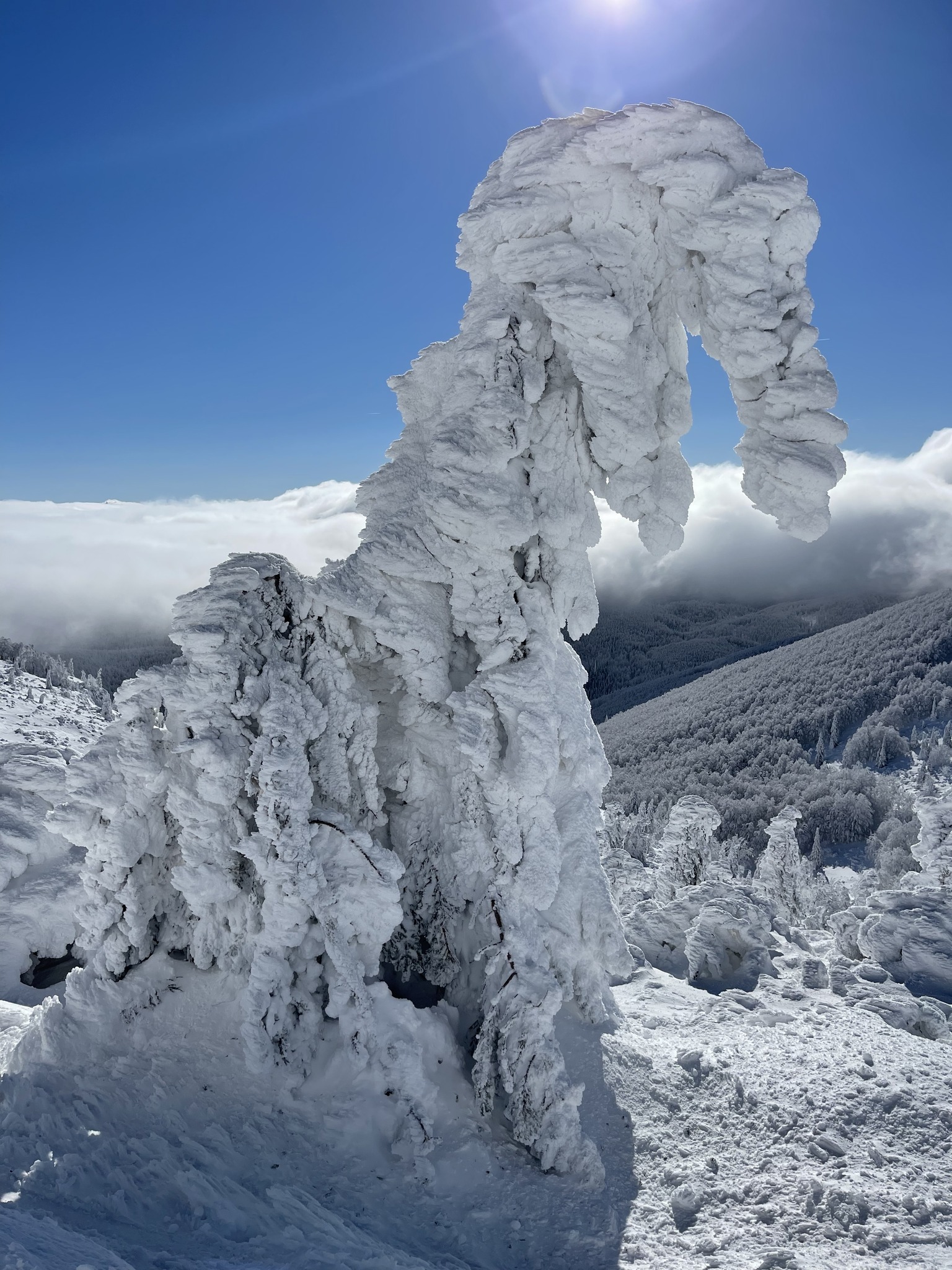 Daniela Čeligoj/Facebook Arso vreme