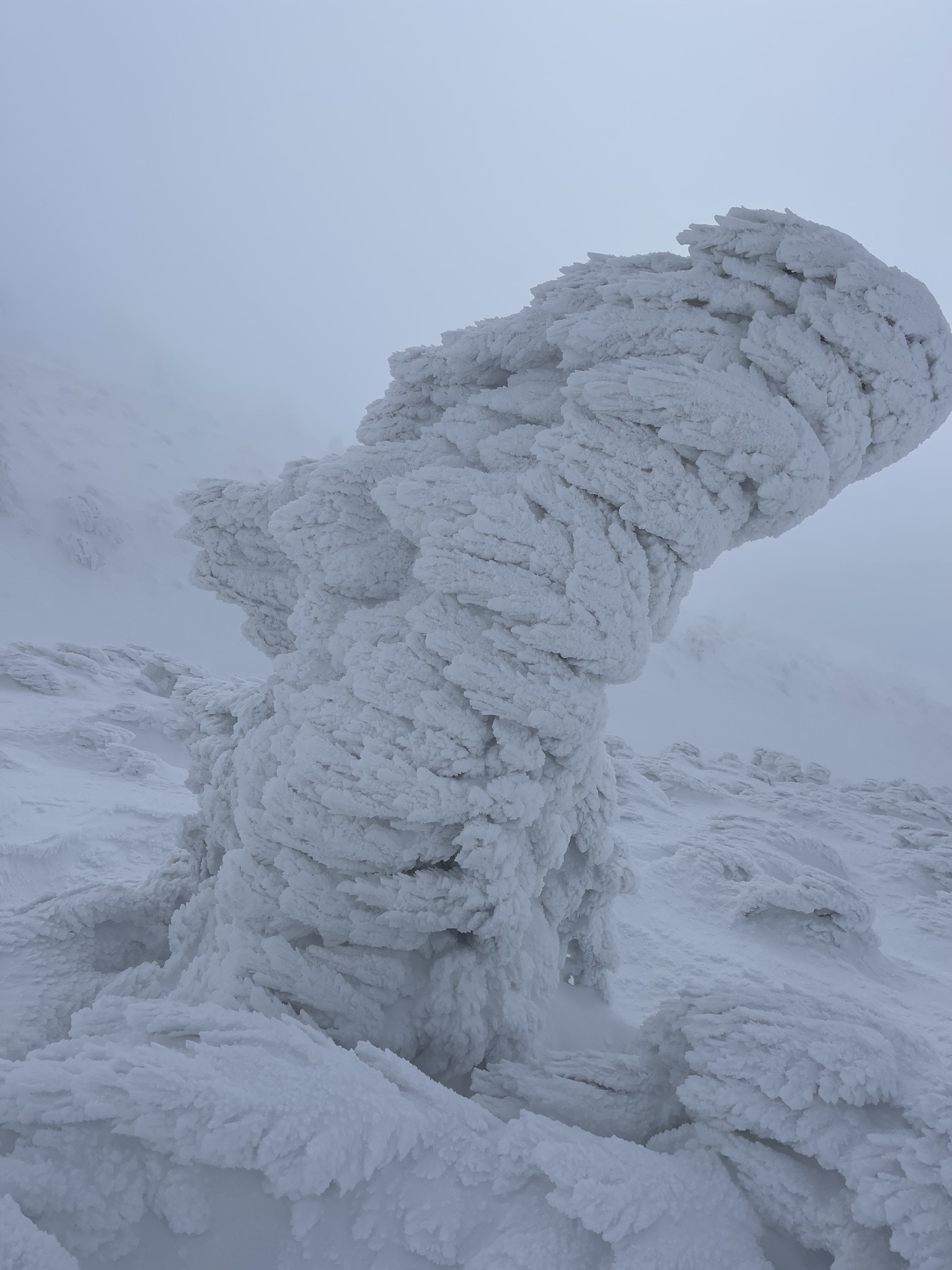 Daniela Čeligoj/Facebook Arso vreme