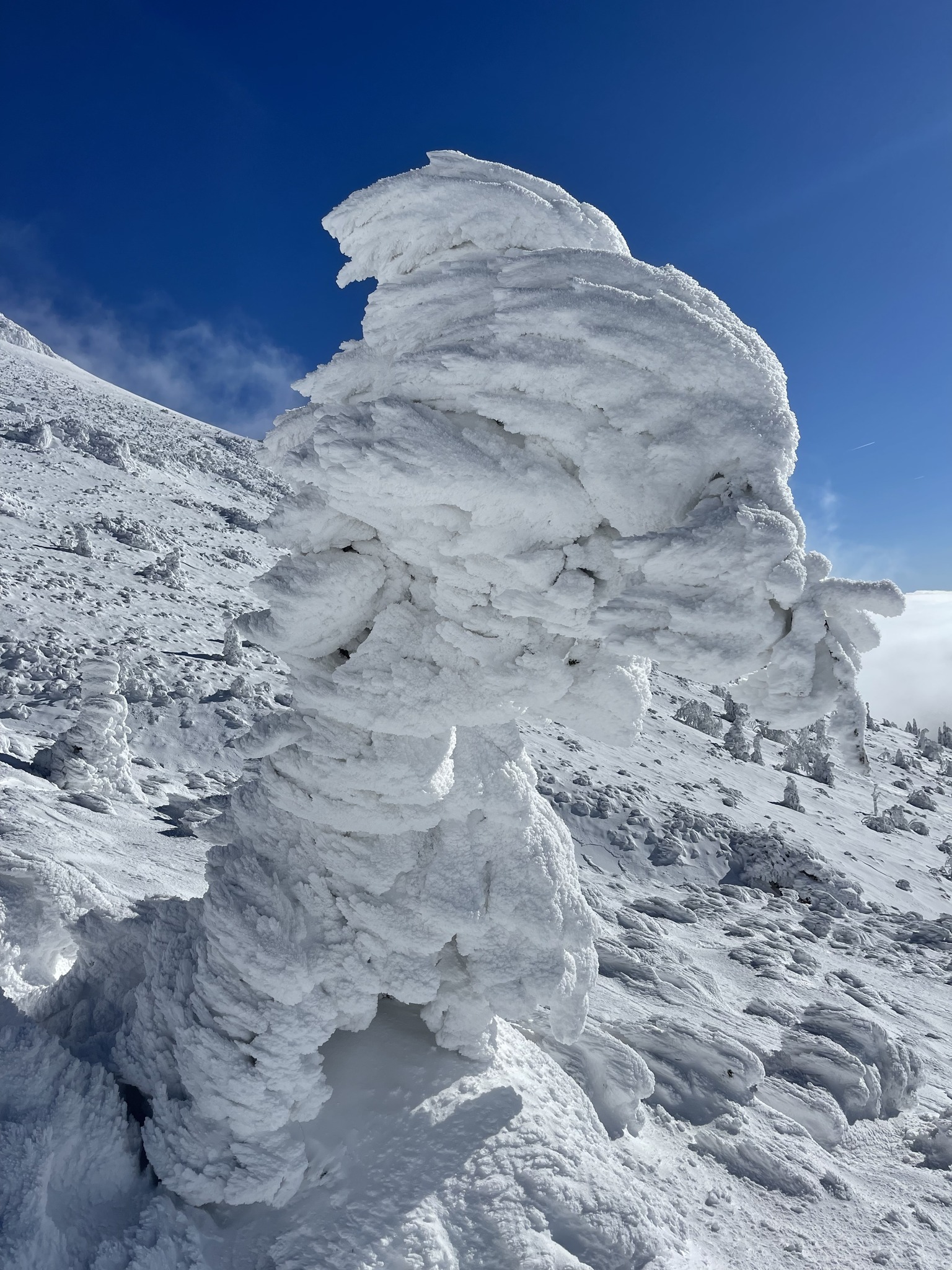 Daniela Čeligoj/Facebook Arso vreme