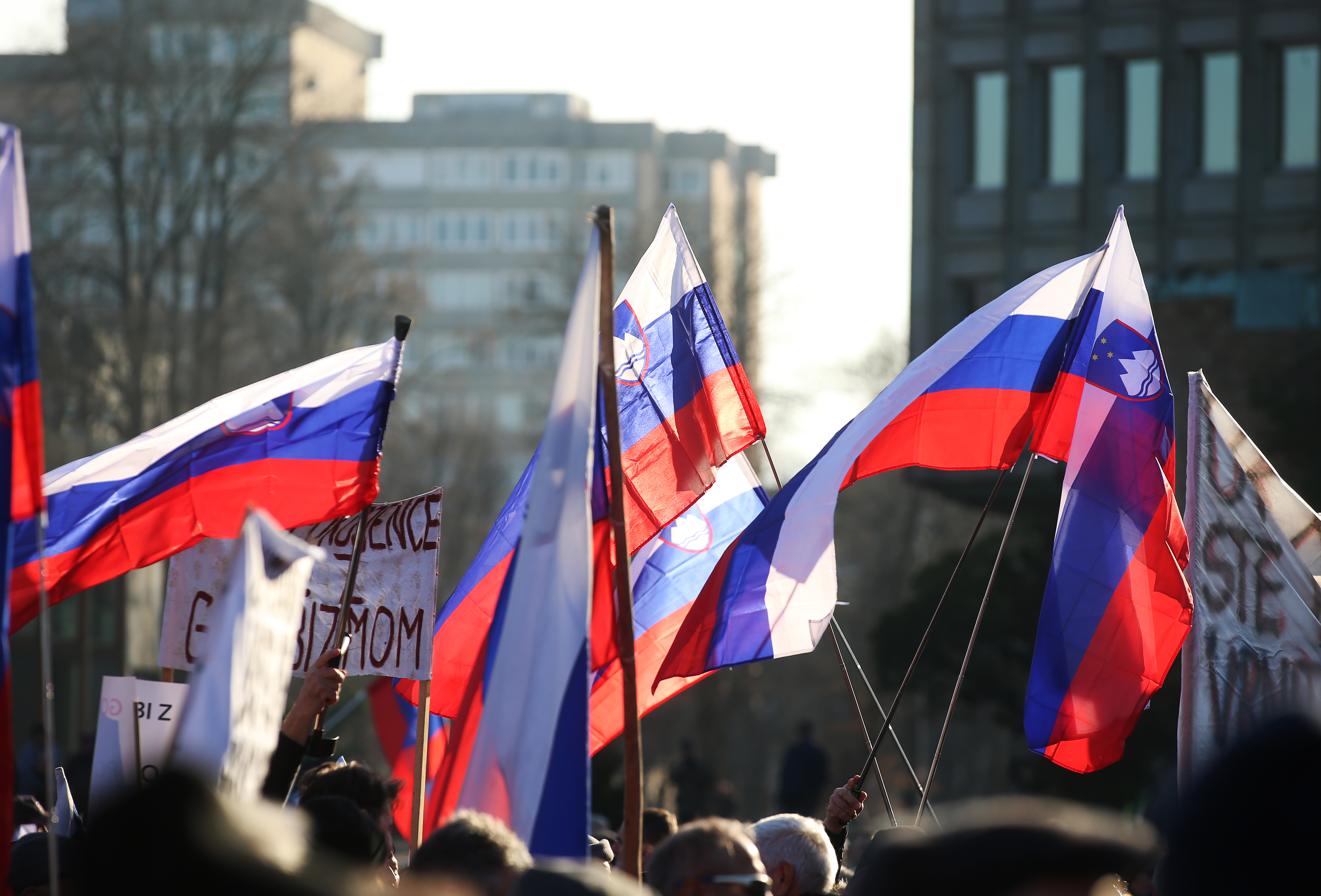 Borut Živulovič/Bobo