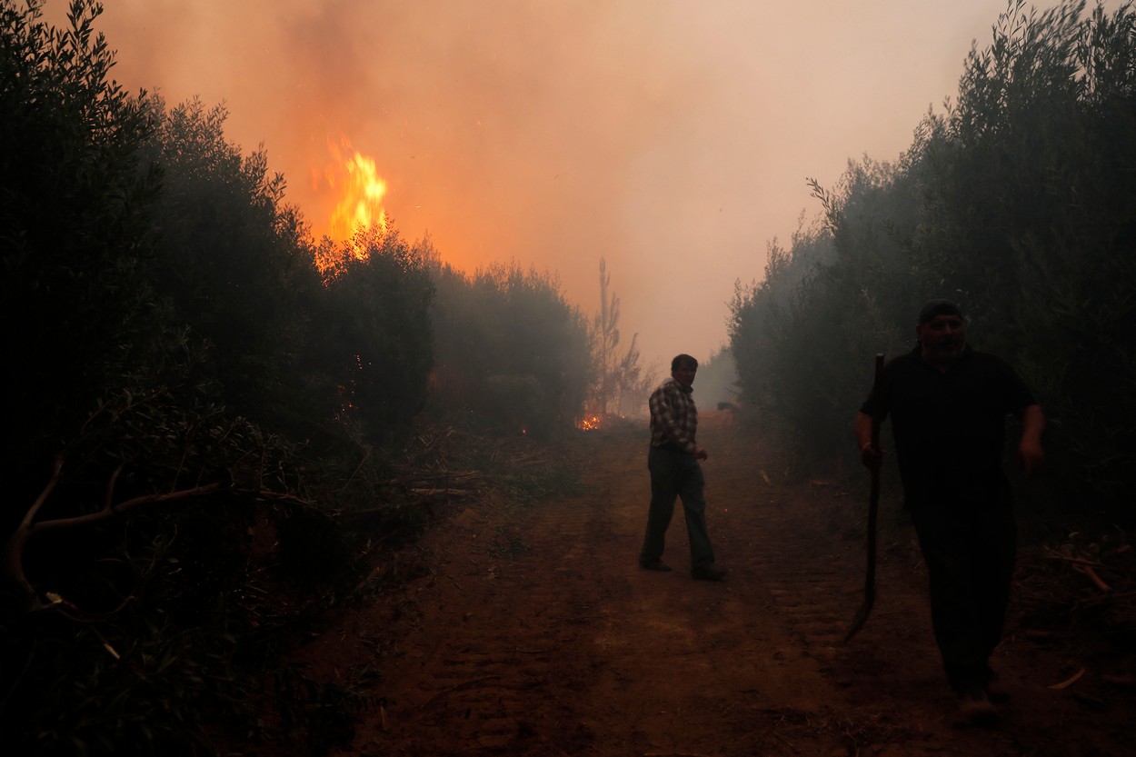 Požar v Čilu