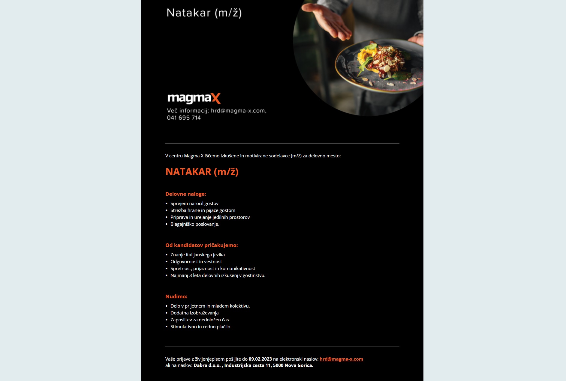 posnetek zaslona na portalu Moje delo