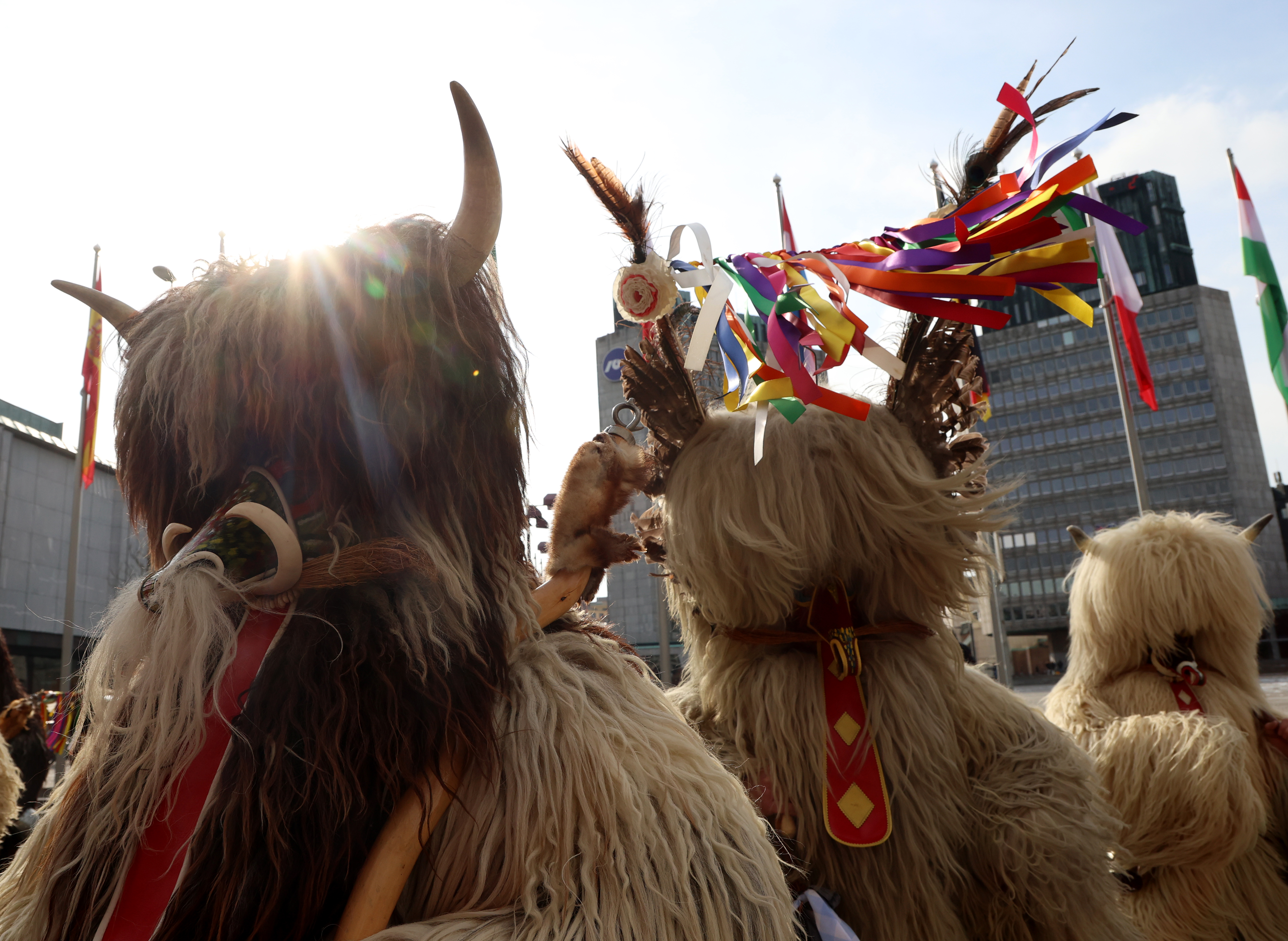 Kurenti, Državni zbor