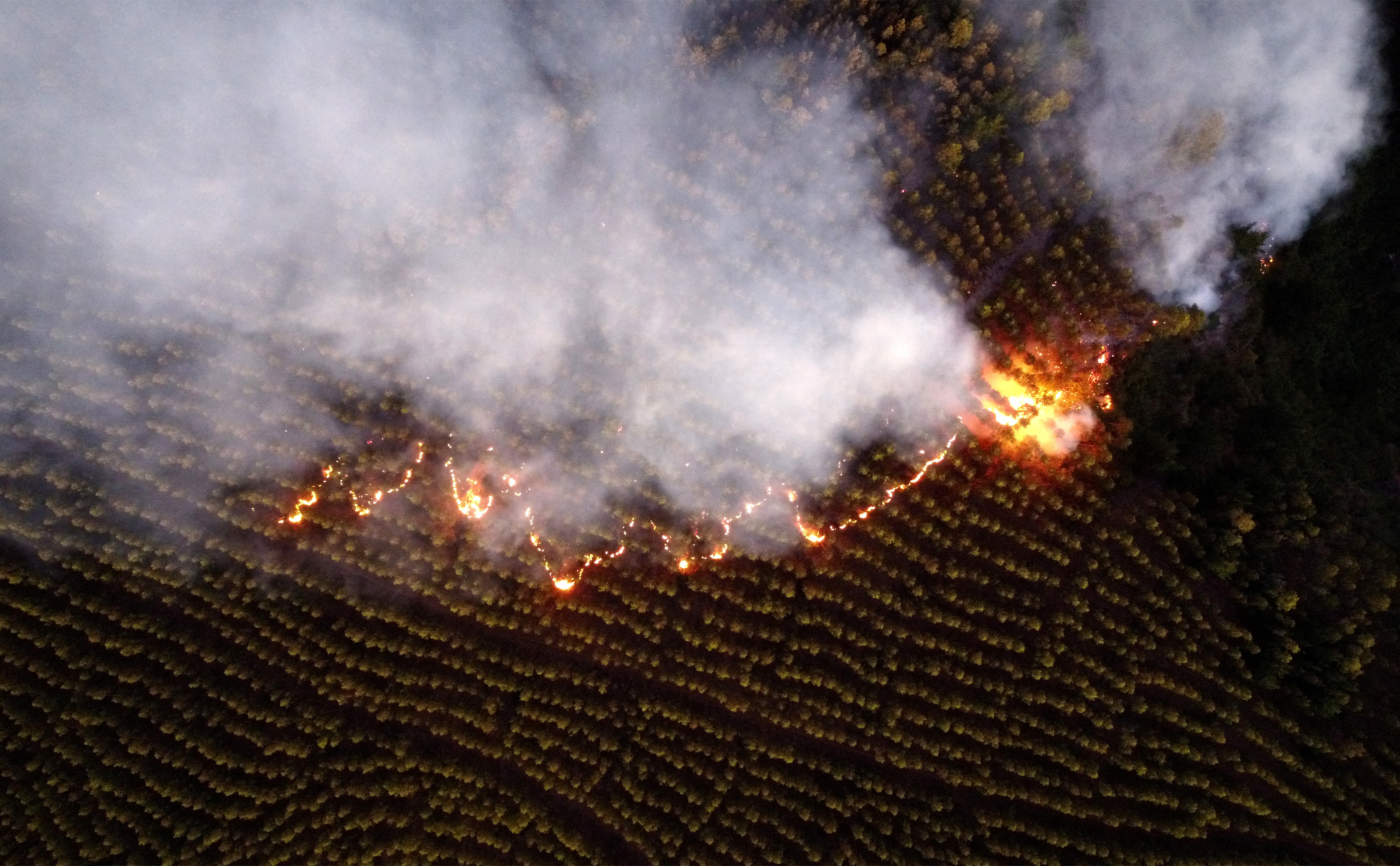 Ivan Alvarado/REUTERS