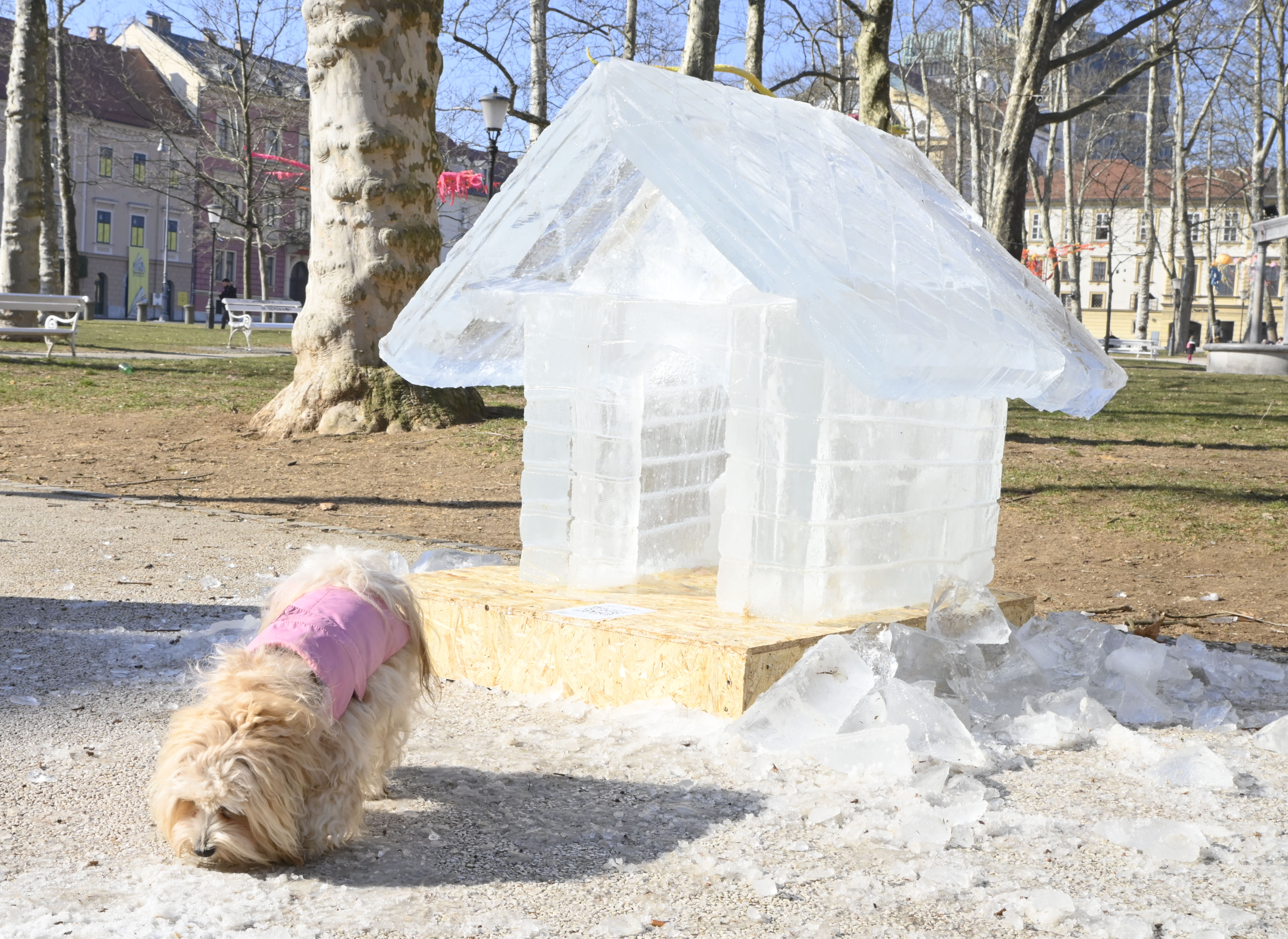 Odprtje Ledeno hladnega doma