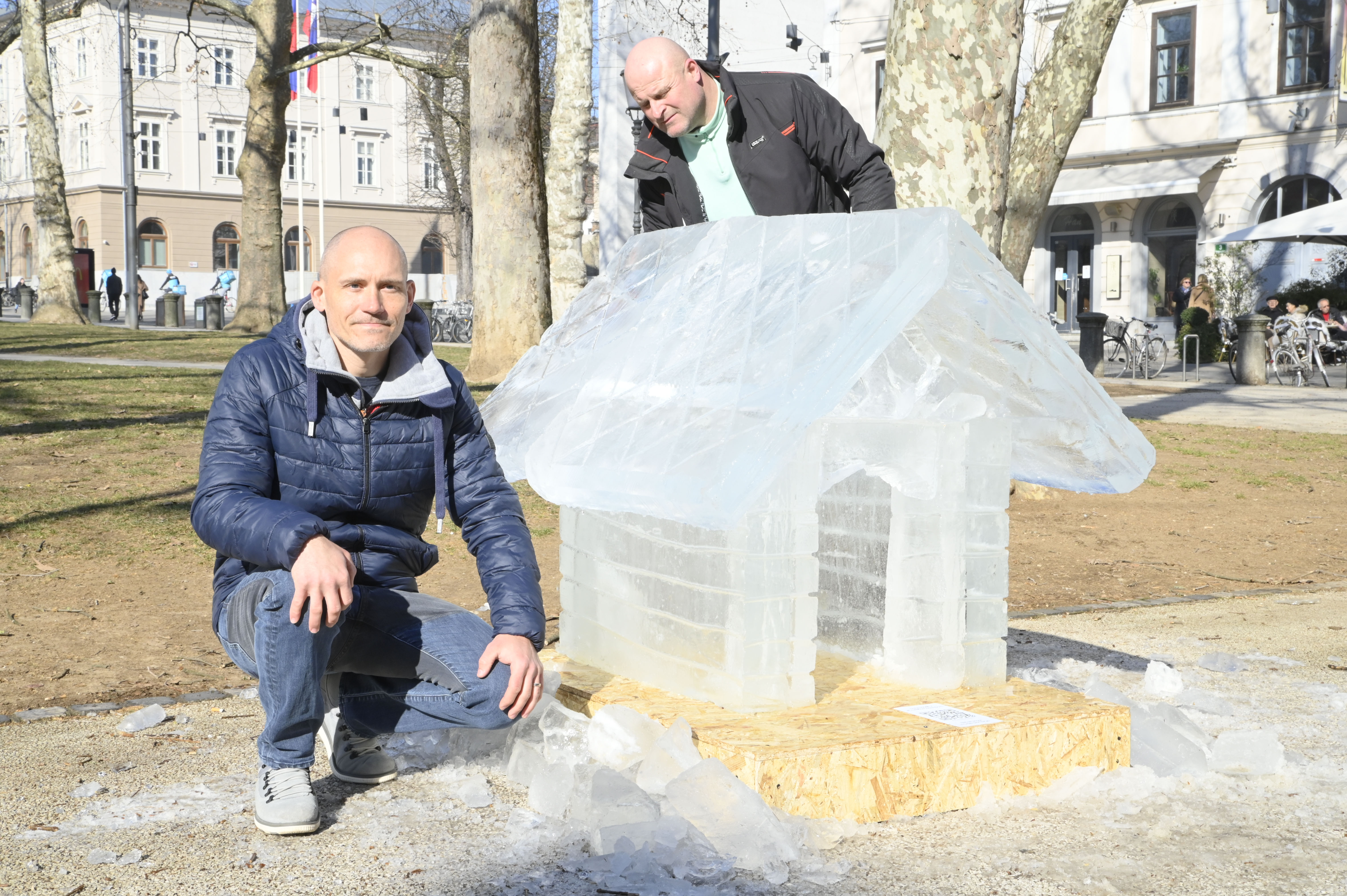 Žiga Živulović jr./BOBO