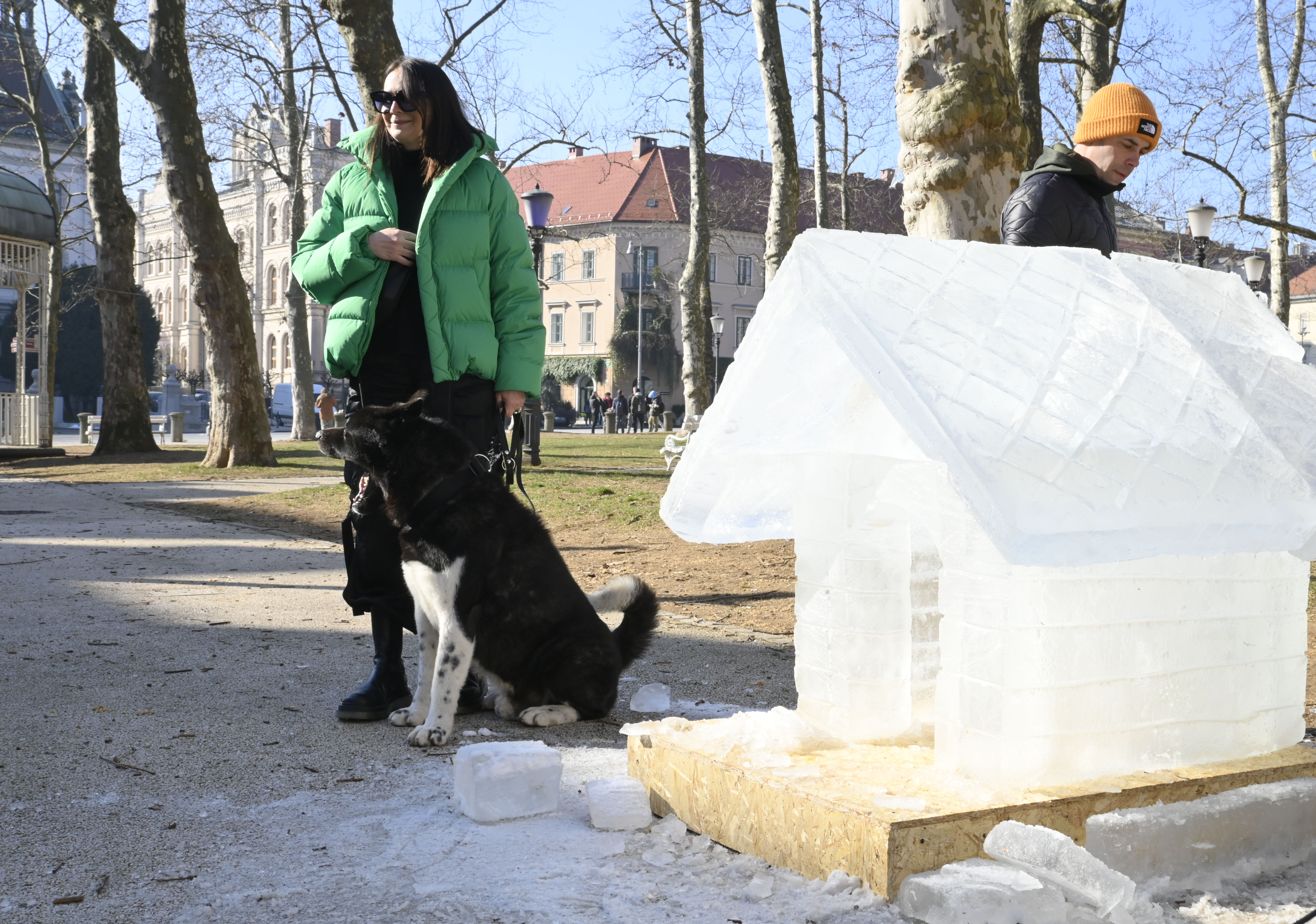 Žiga Živulović jr./BOBO