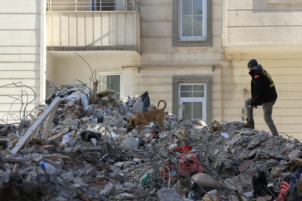 Turčija,Sirija, potres