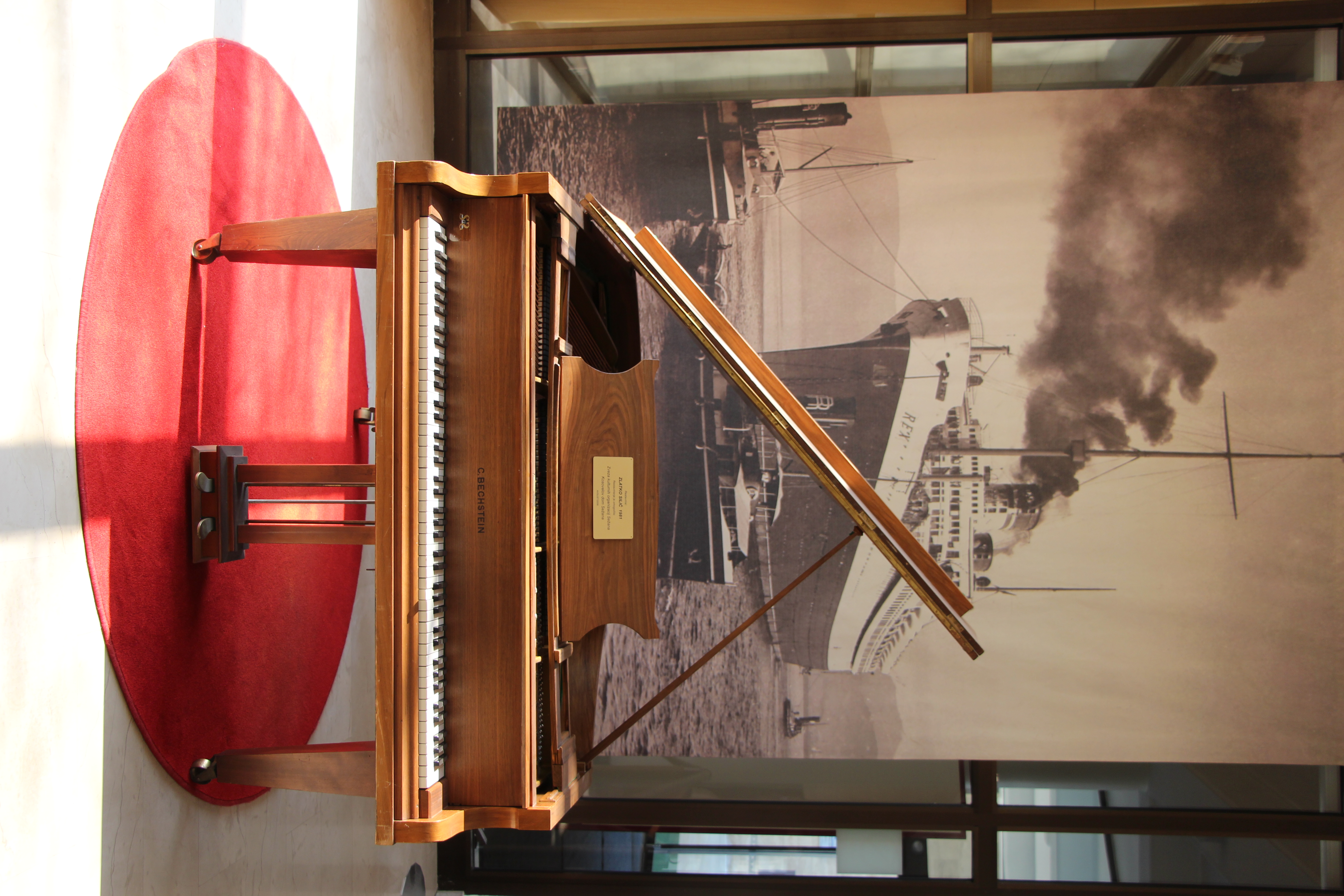 Klavir z Rexa. (Foto: Snježana Karinja)