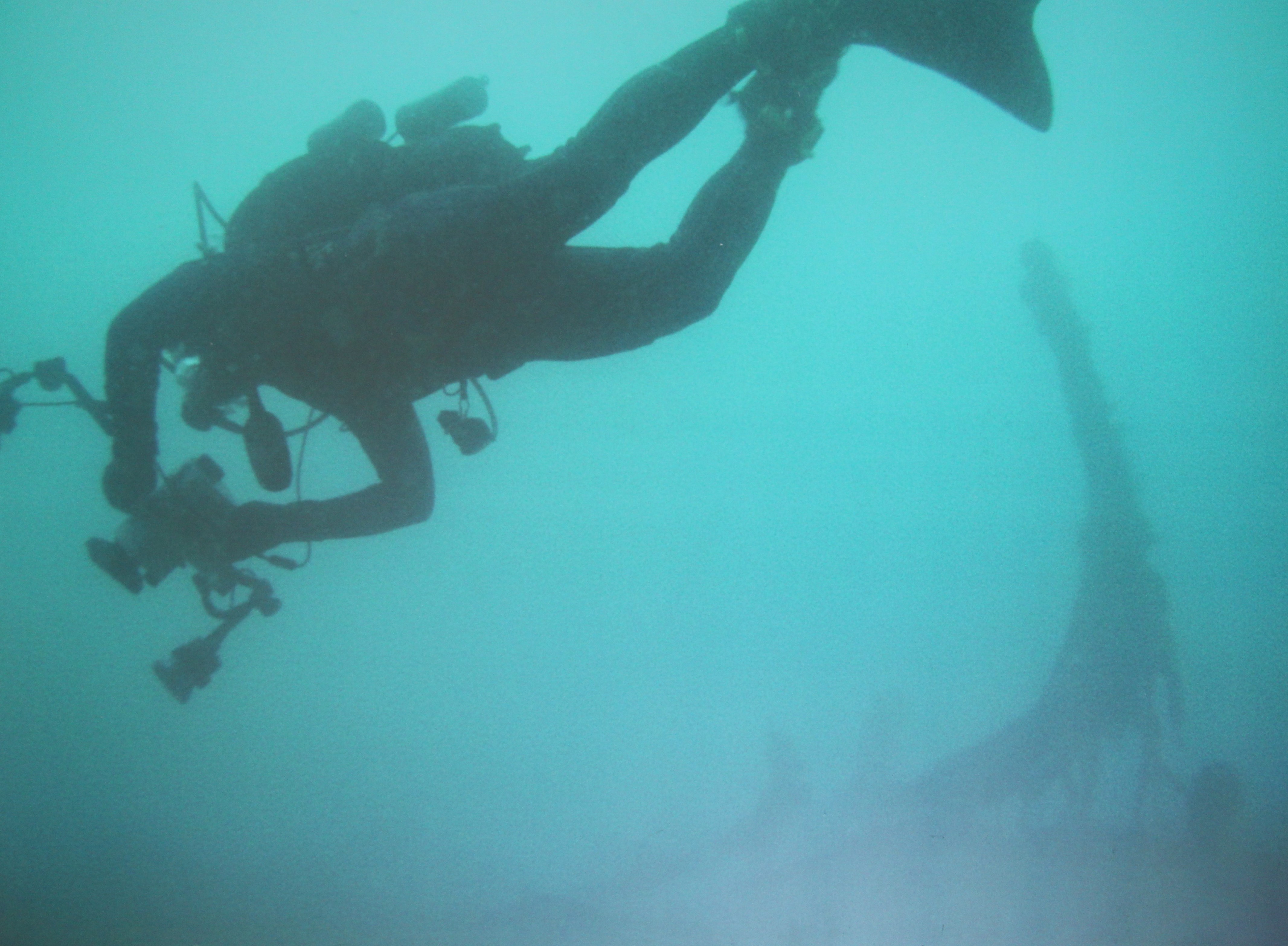 Podvodni Rex. (Foto Podgornik in Kastelic)