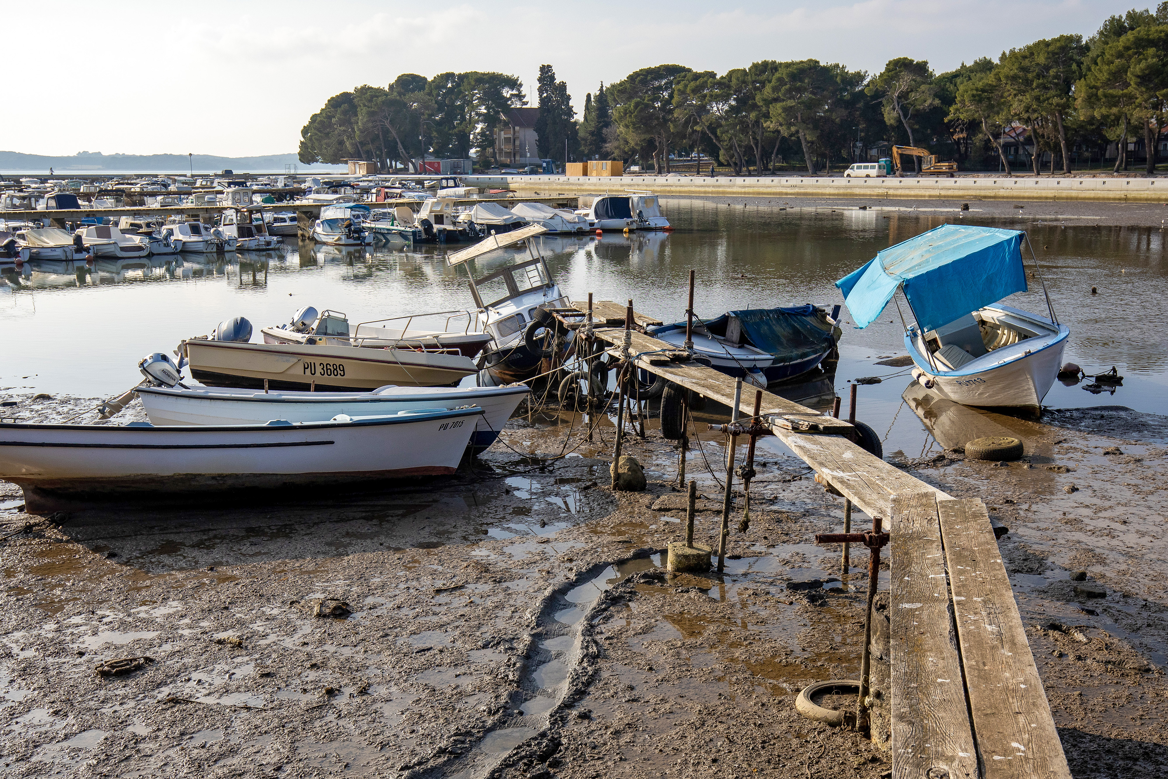 Srecko Niketic/PIXSELL/BOBO